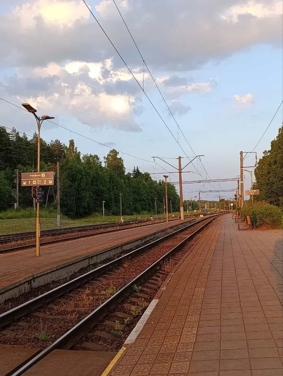 Беларусь, Минская область, Молодечненский район, Олехновичский сельсовет, деревня Уша-2, Центральная улица, 55, фото 14