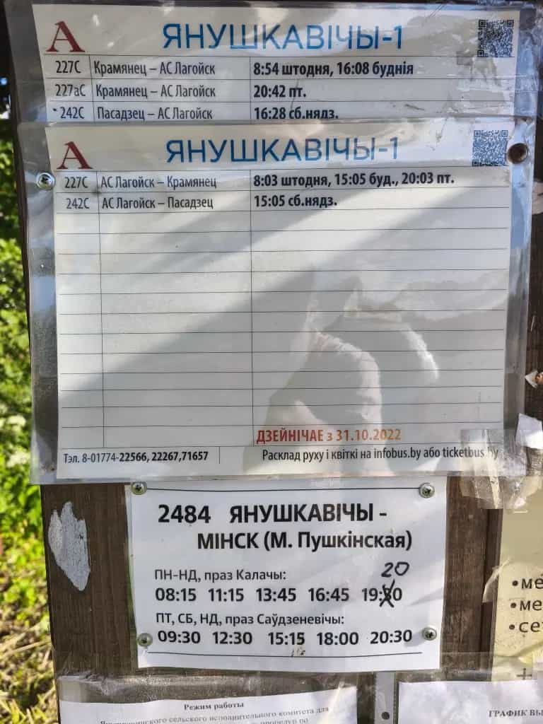 Беларусь, Минская область, Логойский район, Янушковичский сельсовет, деревня Слижино, Полевая улица, 14, фото 19
