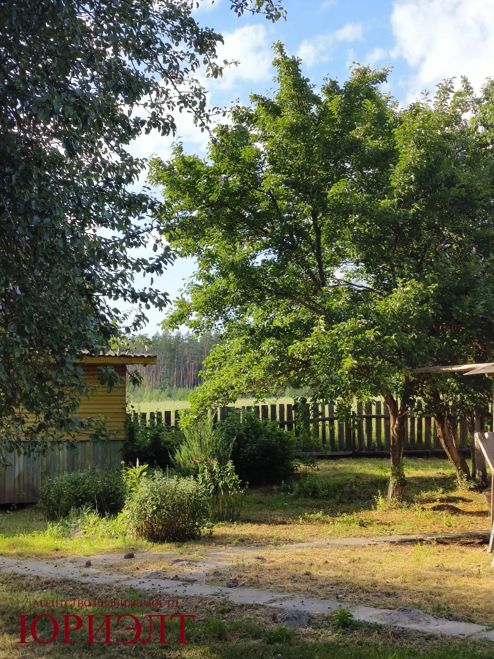 Беларусь, Брестская область, Ивацевичский район, агрогородок Квасевичи, Шоссейная улица, 1, фото 14