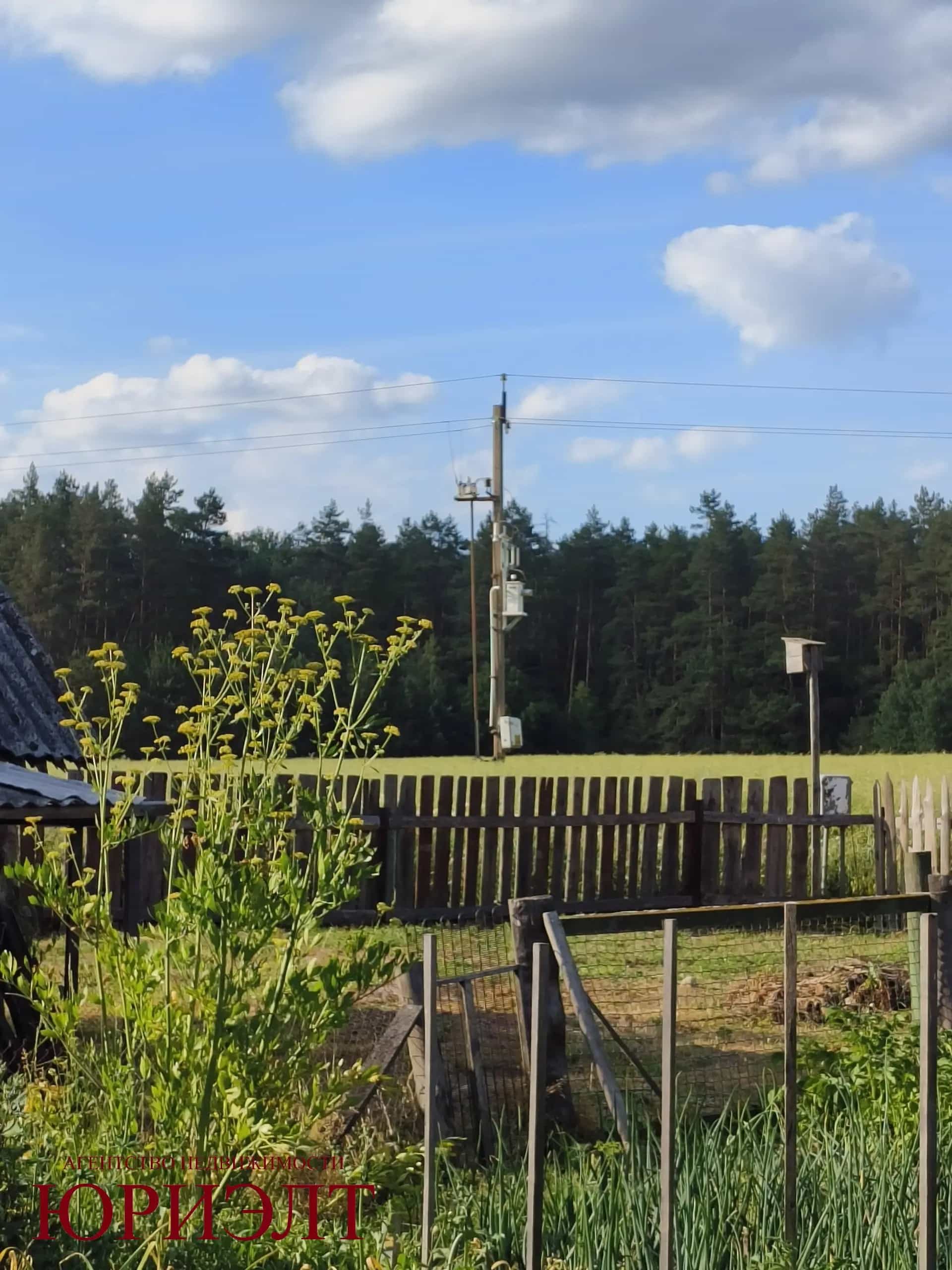 Беларусь, Брестская область, Ивацевичский район, агрогородок Квасевичи, Шоссейная улица, 1, фото 16