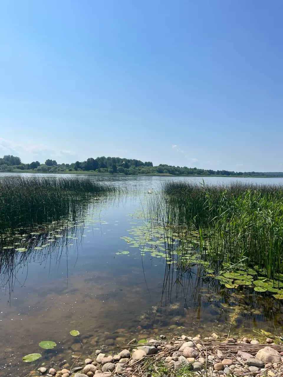 Беларусь, Витебская область, Ушачский район, Веркудский сельсовет, поселок Кугони, 2А, фото 20