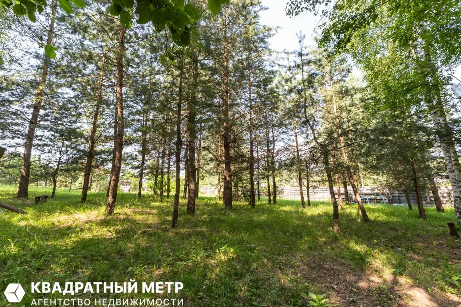 Беларусь, Минский район, Юзуфовский сельсовет, деревня Шепели, 45, фото 9