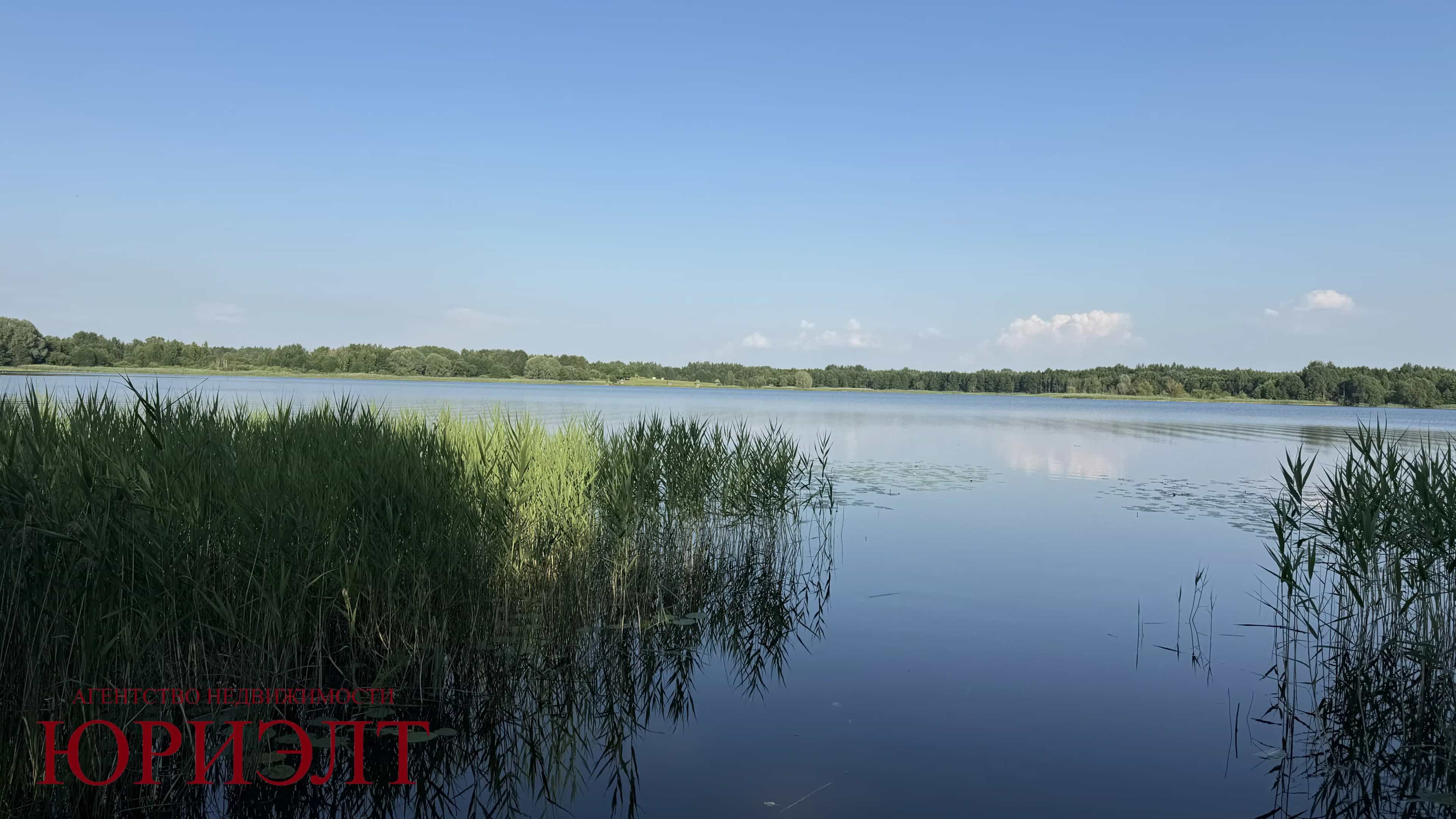 Беларусь, Минская область, Крупский район, Холопеничский сельсовет, деревня Великие Хольневичи, Озёрная улица, 25, фото 24