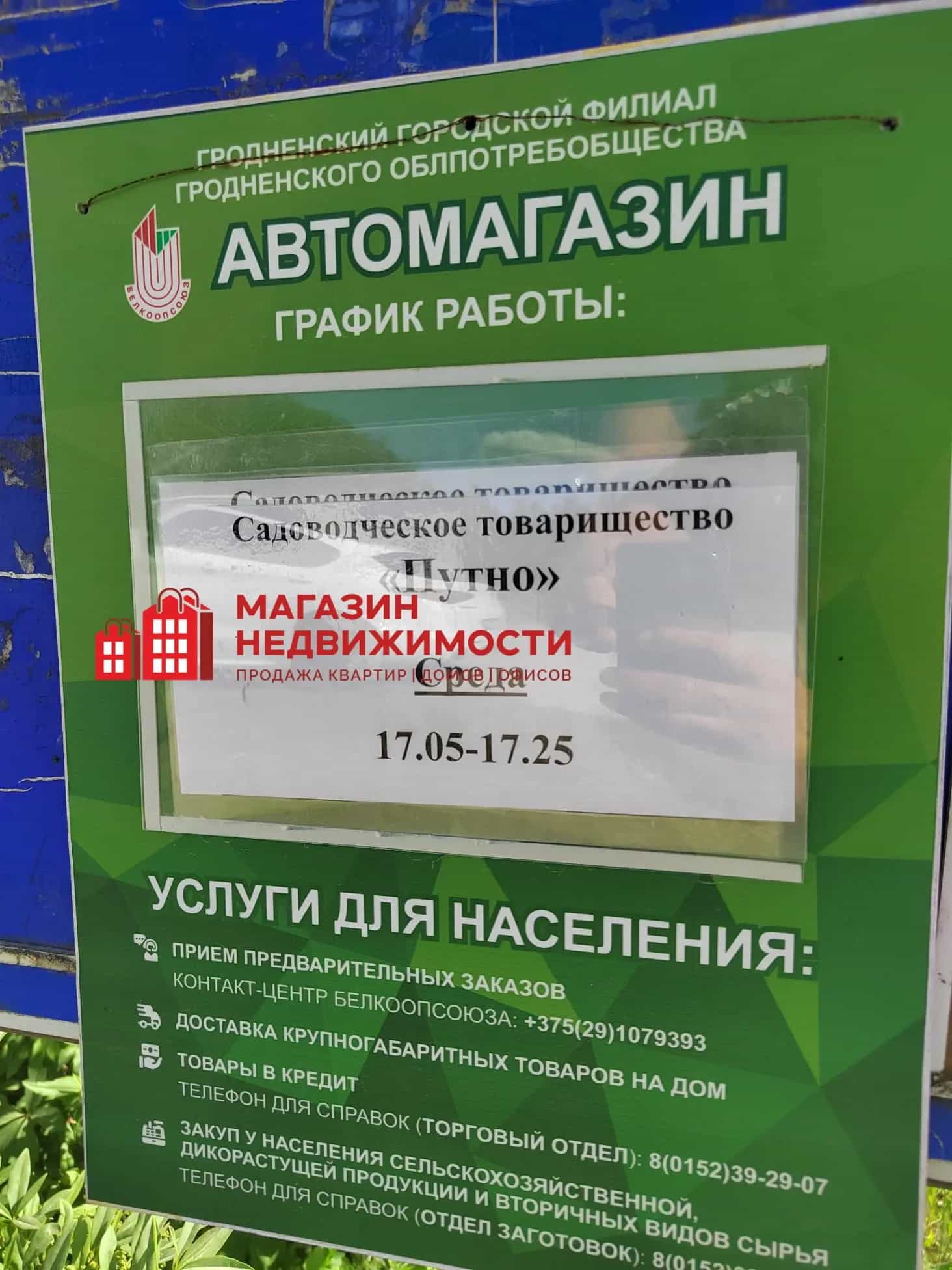 Беларусь, Гродненский район, Квасовский сельсовет, СТ Вита, 136, фото 12