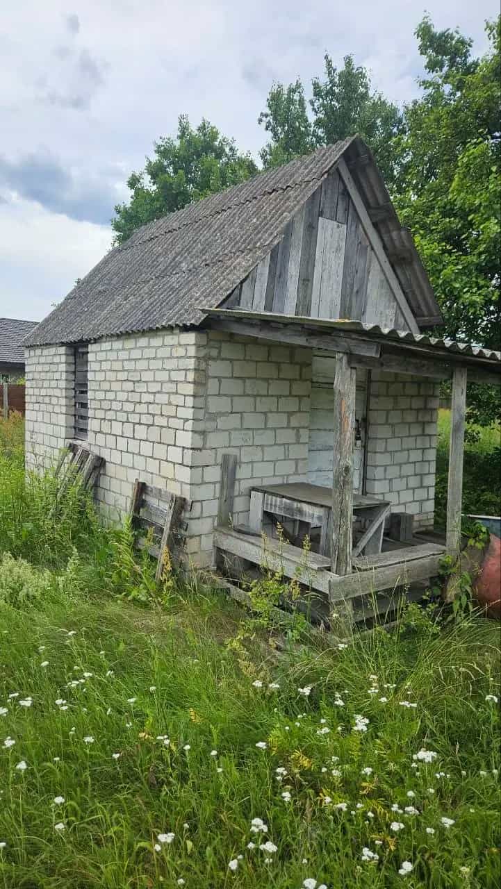 Беларусь, Могилёвская область, Бобруйский район, Сычковский сельсовет, деревня Калинино, улица Калинина, 17А, фото 6