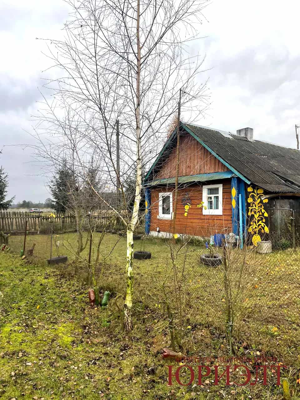 Беларусь, Гродненская область, Лидский район, Третьяковский сельсовет, деревня Новицкие 2, Садовая улица, 10, фото 3