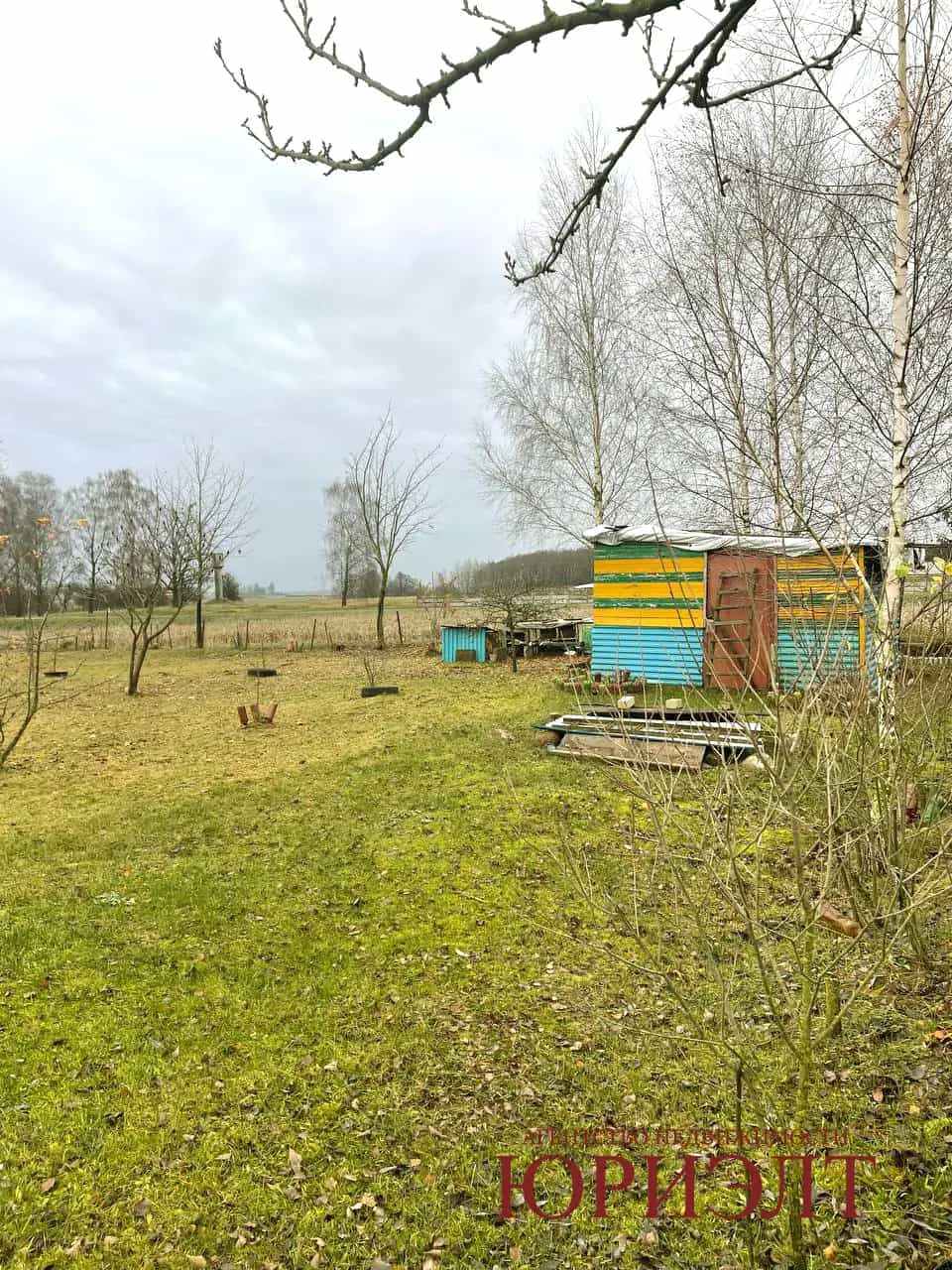 Беларусь, Гродненская область, Лидский район, Третьяковский сельсовет, деревня Новицкие 2, Садовая улица, 10, фото 11
