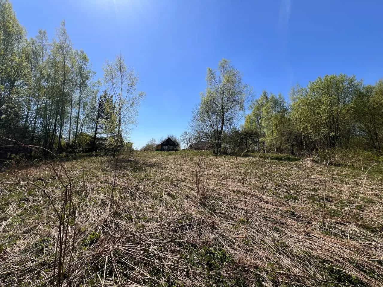 Беларусь, Минская область, Воложинский район, Раковский сельсовет, деревня Гиревичи, 25, фото 9