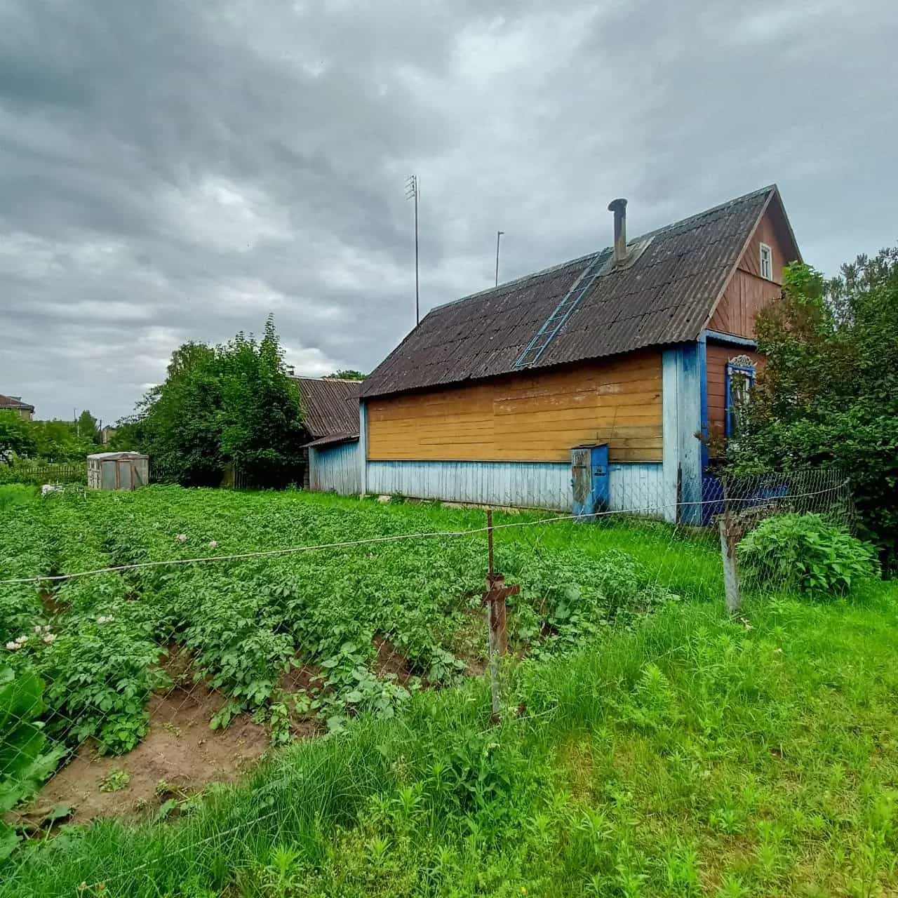 Беларусь, Витебская область, городской посёлок Бешенковичи, улица Лазо, 9, фото 2