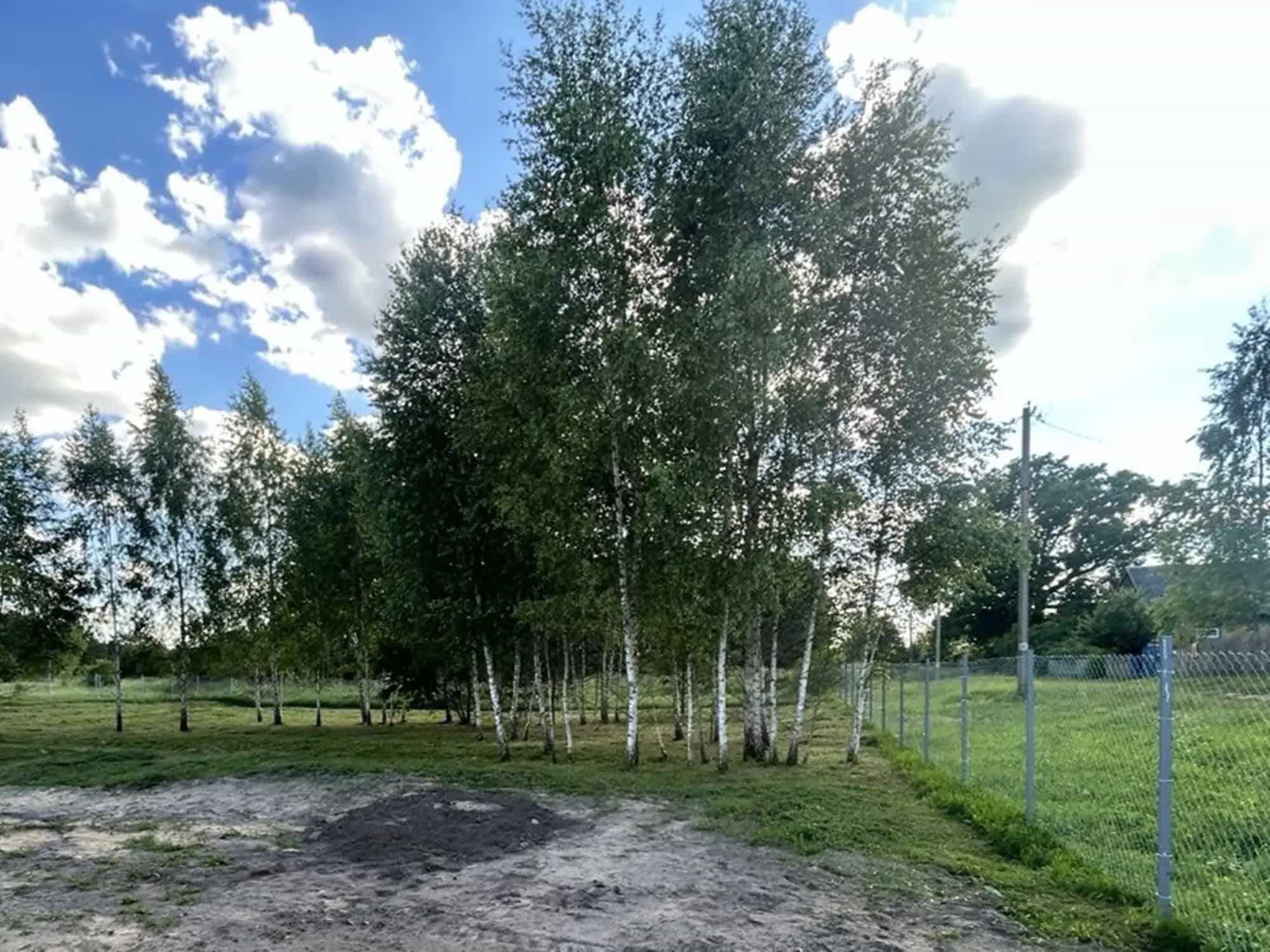Беларусь, Минская область, Вилейский район, Долгиновский сельсовет, деревня Камено, Школьная улица, 43, фото 7