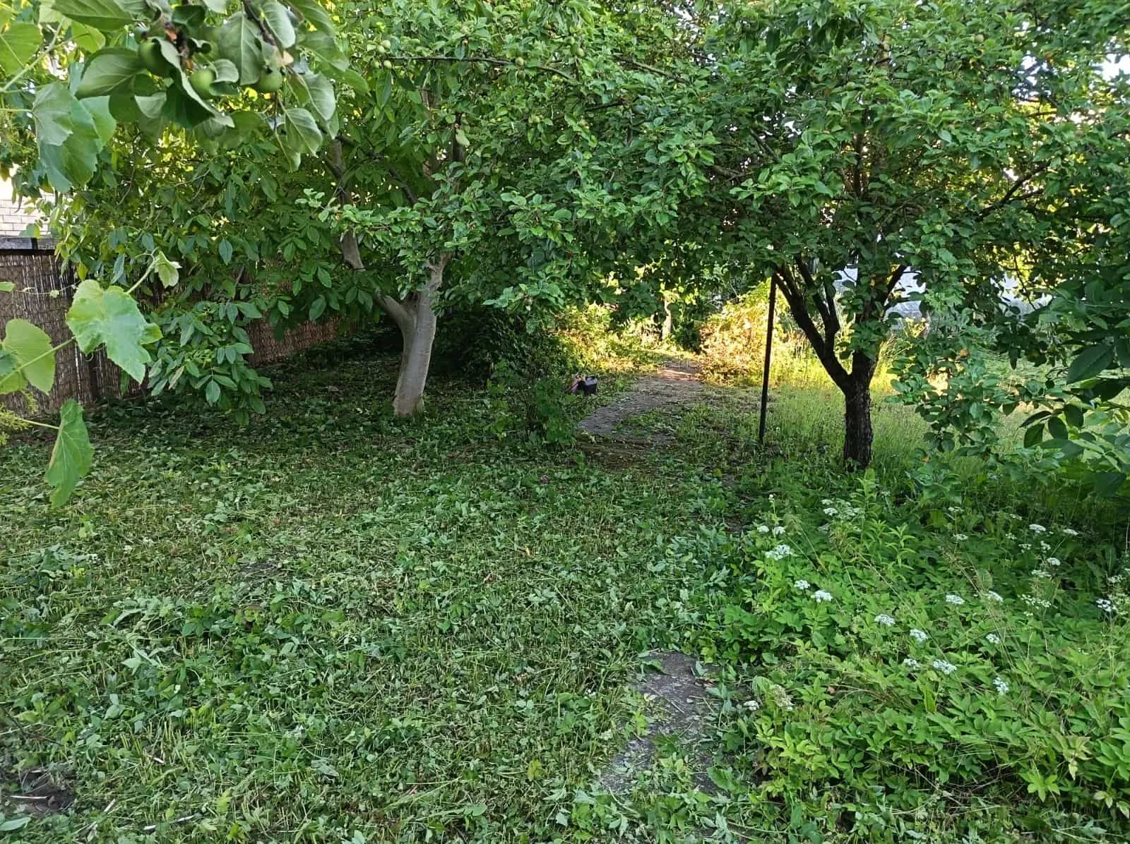Беларусь, Гродно, улица Чернышевского, 37, фото 6