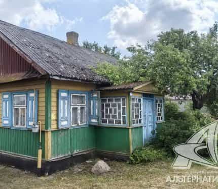 Беларусь, Брестская область, Малоритский район, Хотиславский сельсовет, деревня Замшаны, Советская улица, 66, фото 5