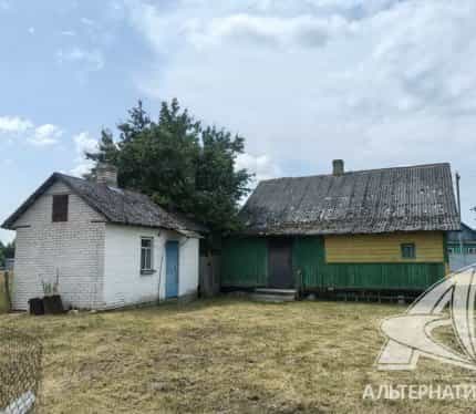 Беларусь, Брестская область, Малоритский район, Хотиславский сельсовет, деревня Замшаны, Советская улица, 66, фото 6