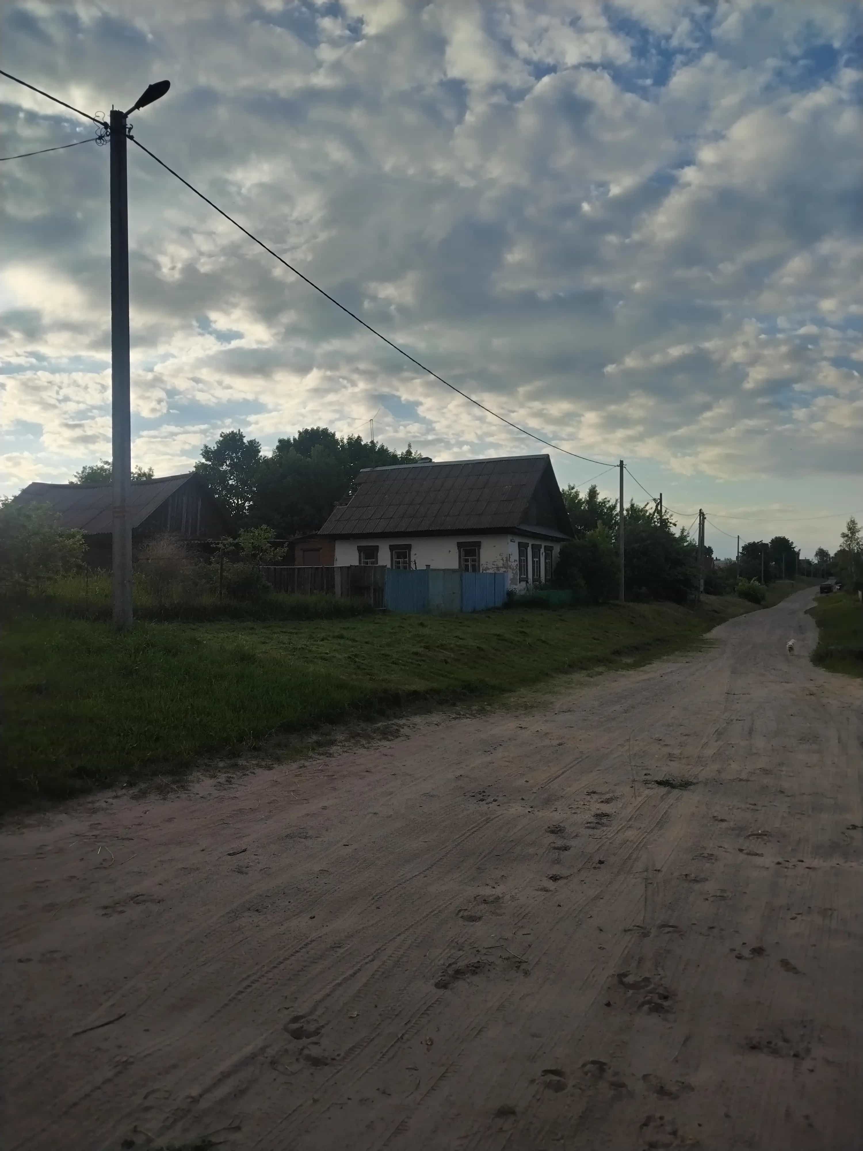 Беларусь, Гомельская область, Рогачёвский район, Запольский сельсовет, деревня Колосы, Друтская улица, 34