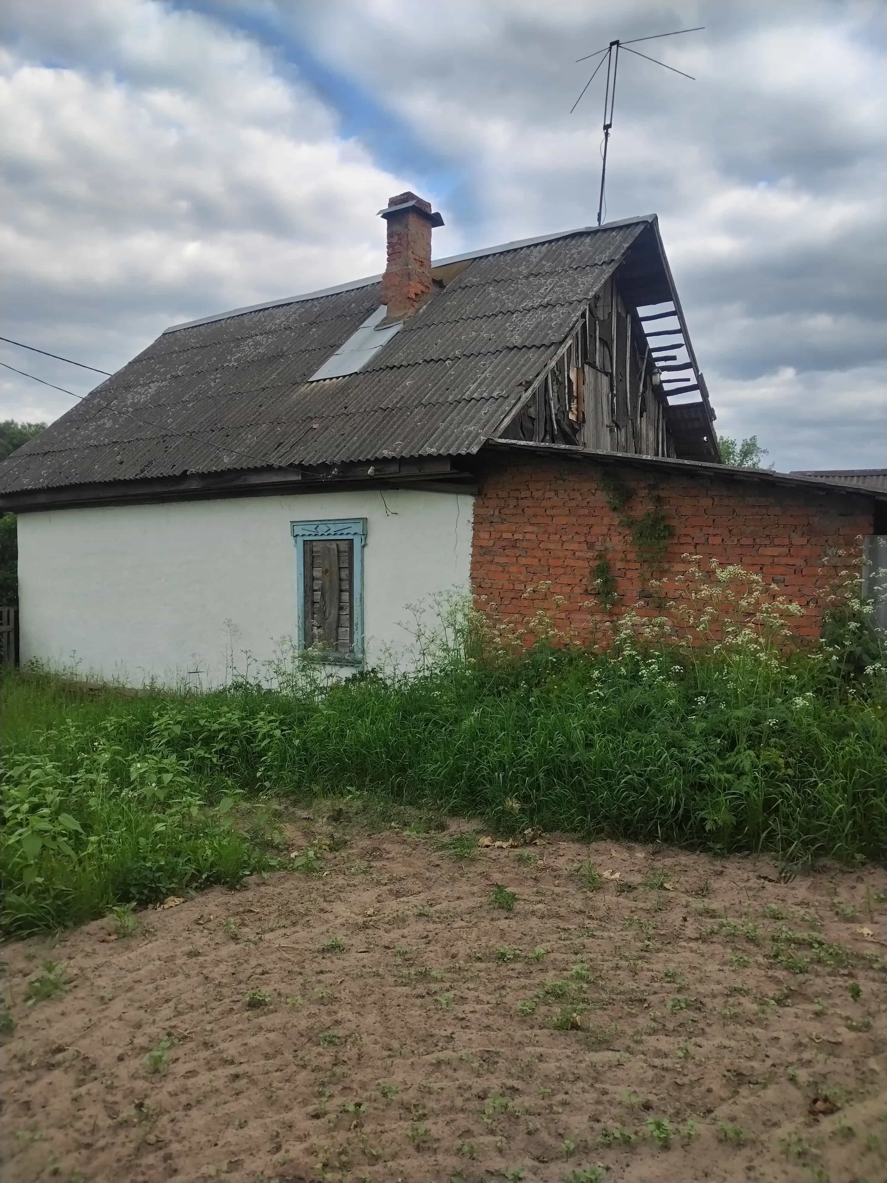 Беларусь, Гомельская область, Рогачёвский район, Запольский сельсовет, деревня Колосы, Друтская улица, 34, фото 6