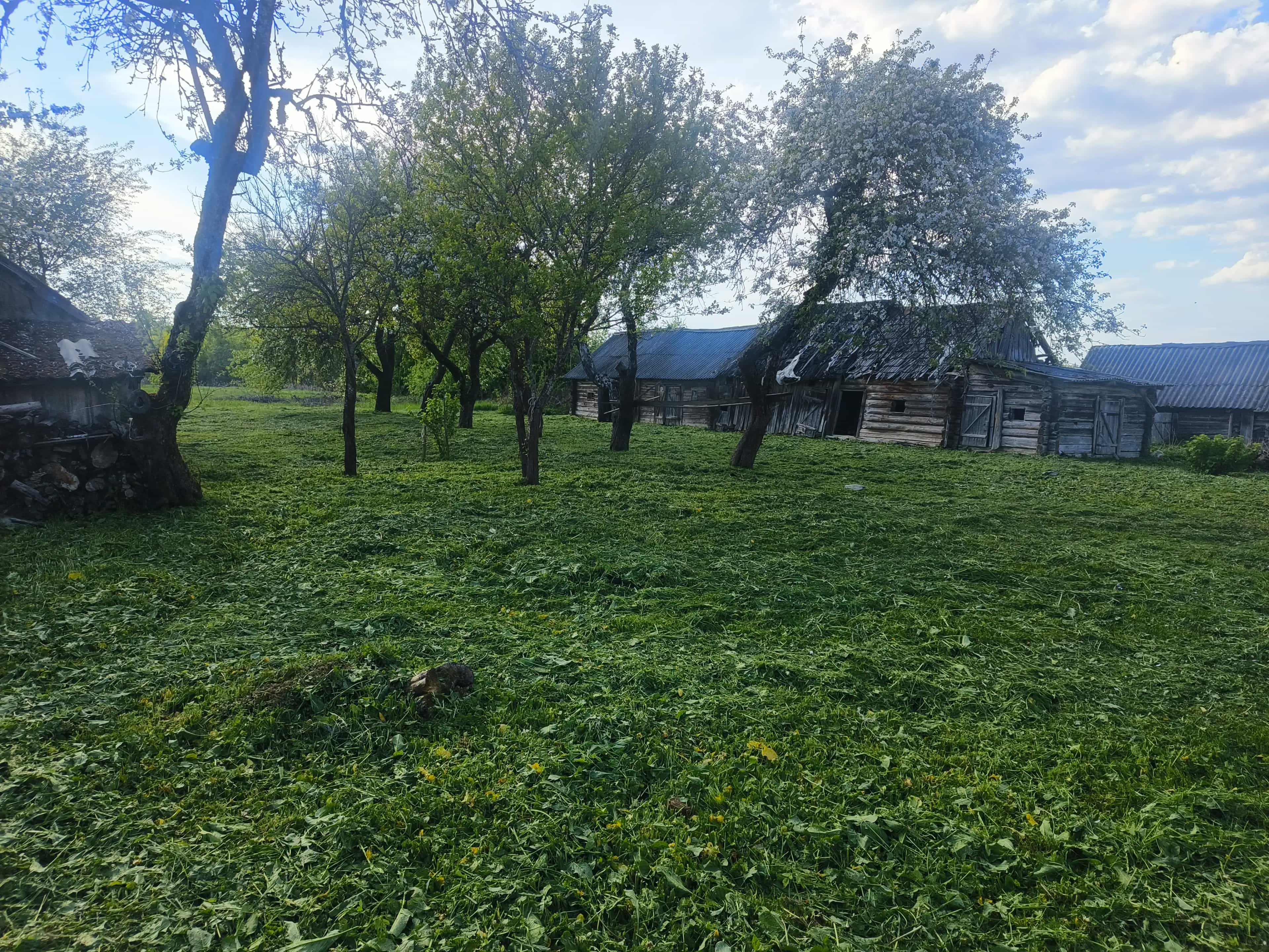 Беларусь, Минская область, Логойский район, Плещеницкий сельсовет, деревня Зады, 20, фото 9