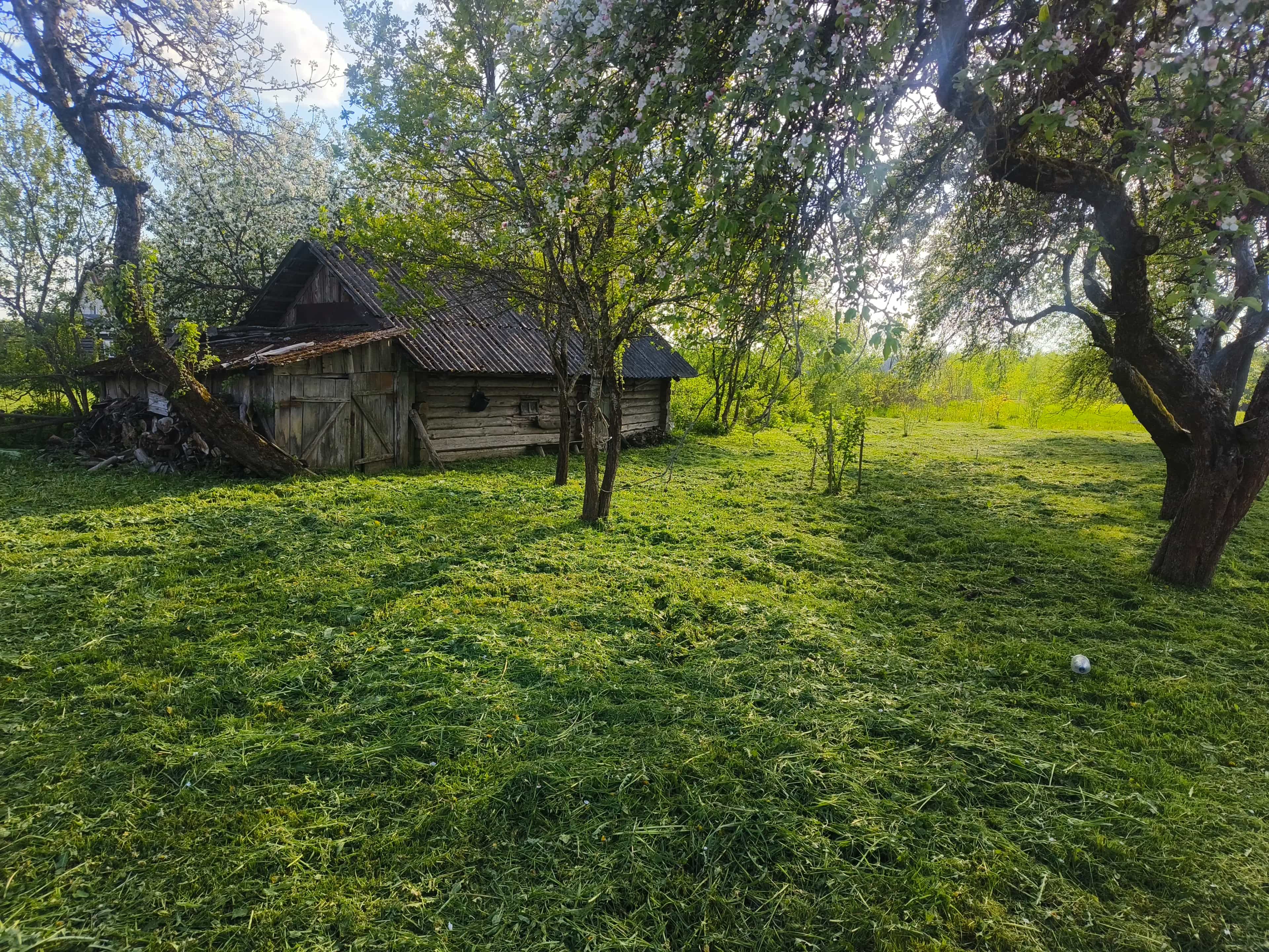 Беларусь, Минская область, Логойский район, Плещеницкий сельсовет, деревня Зады, 20, фото 13
