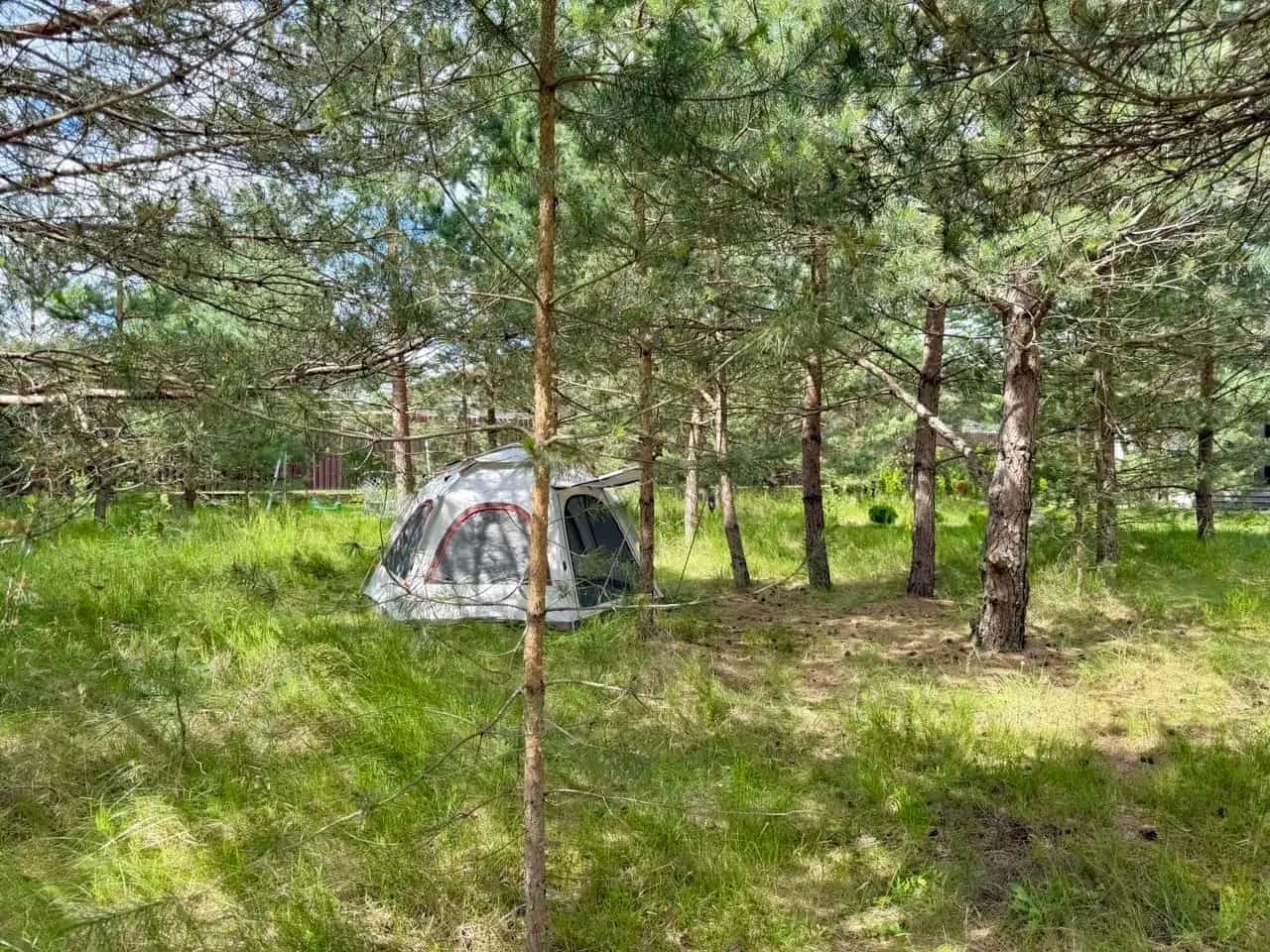 Беларусь, Минский район, агрогородок Колодищи, Криштальная улица, 11, фото 46