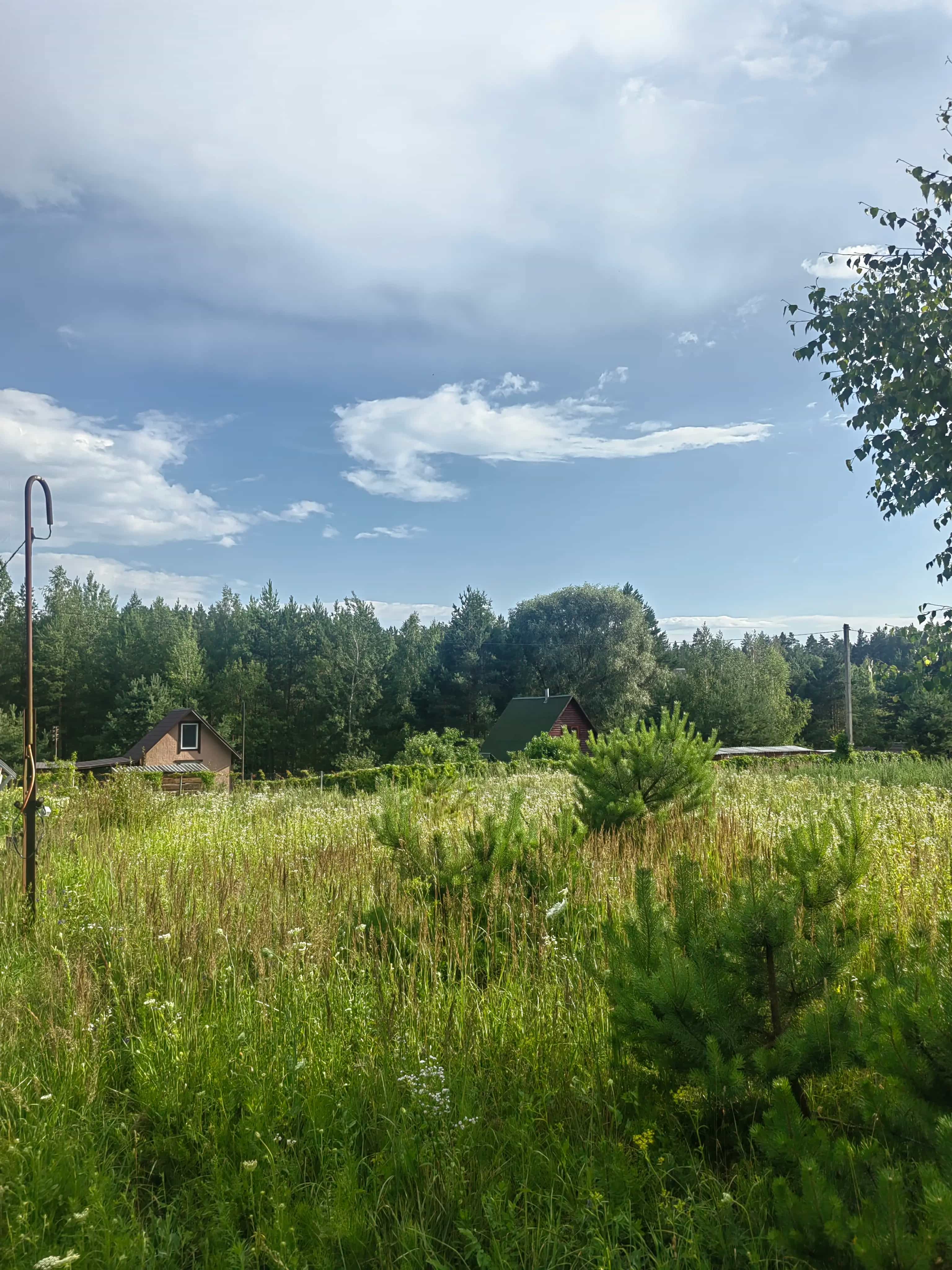 Беларусь, Гродненская область, Волковысский район, Красносельский сельсовет, СТ Сосенки, 590, фото 2