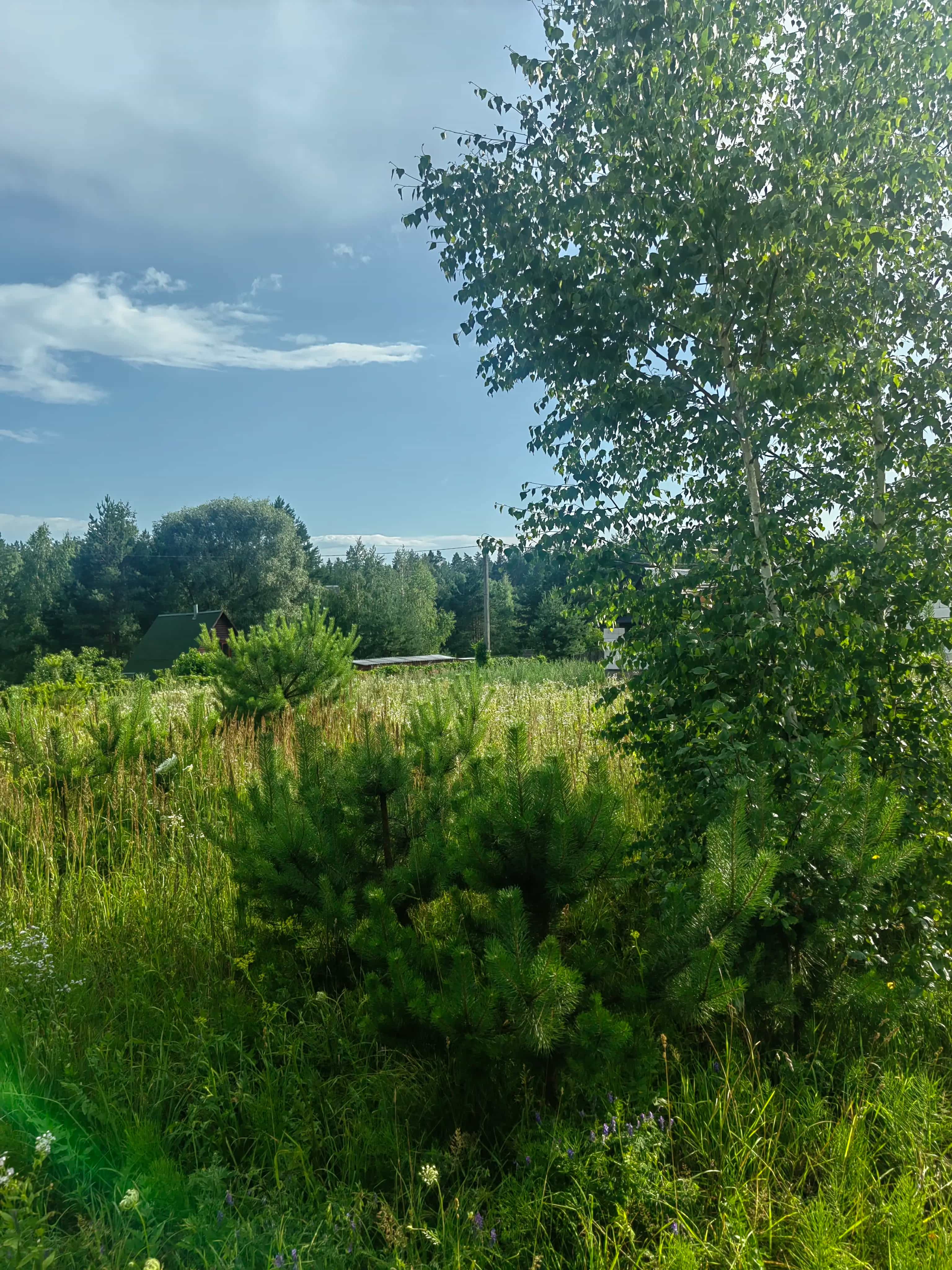 Беларусь, Гродненская область, Волковысский район, Красносельский сельсовет, СТ Сосенки, 590, фото 3