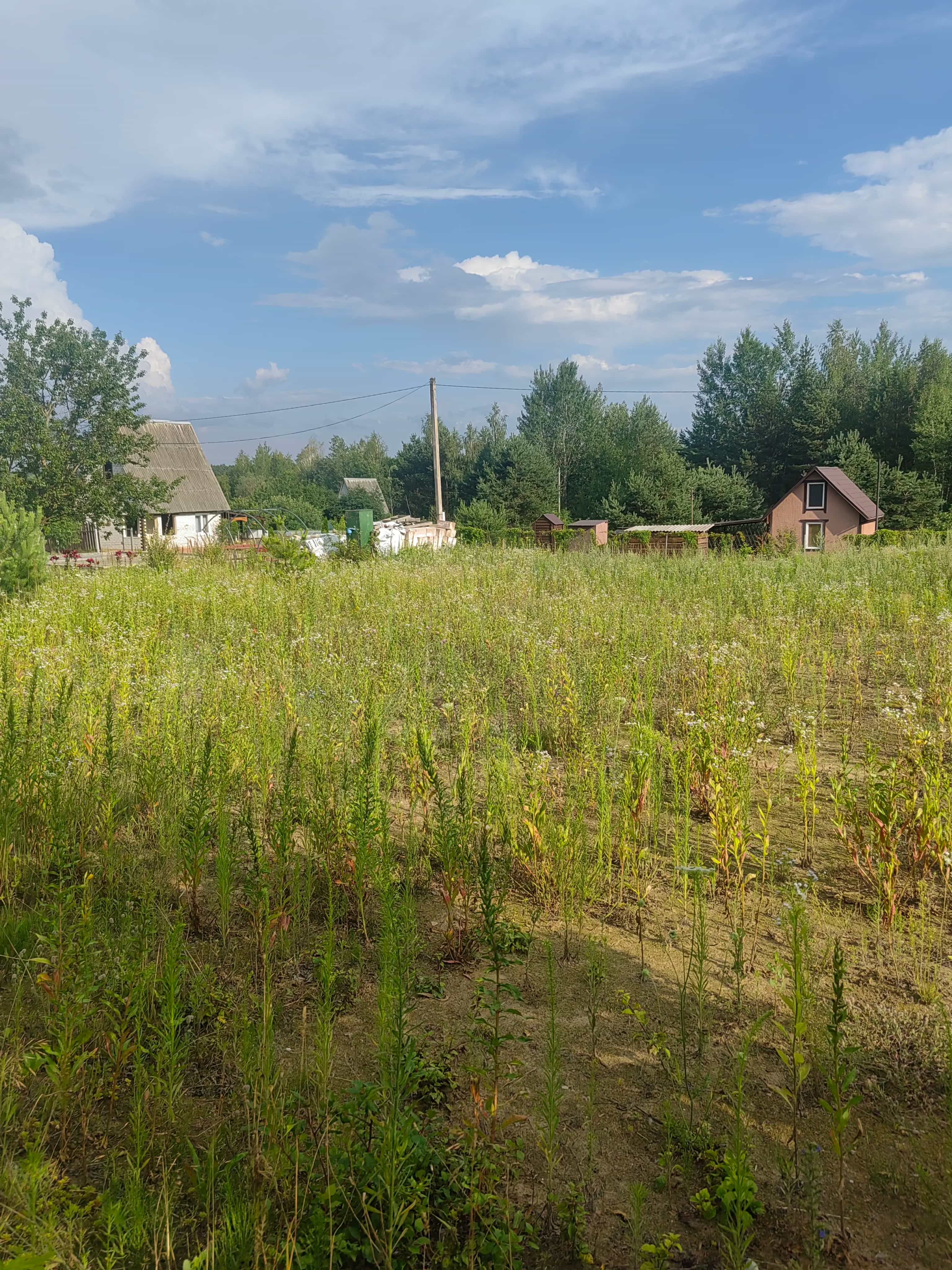 Беларусь, Гродненская область, Волковысский район, Красносельский сельсовет, СТ Сосенки, 590, фото 4