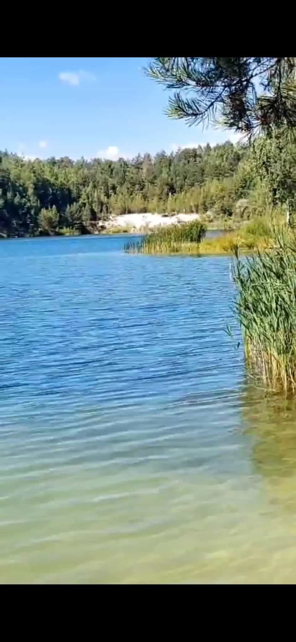 Беларусь, Гродненская область, Волковысский район, Красносельский сельсовет, СТ Сосенки, 590, фото 5