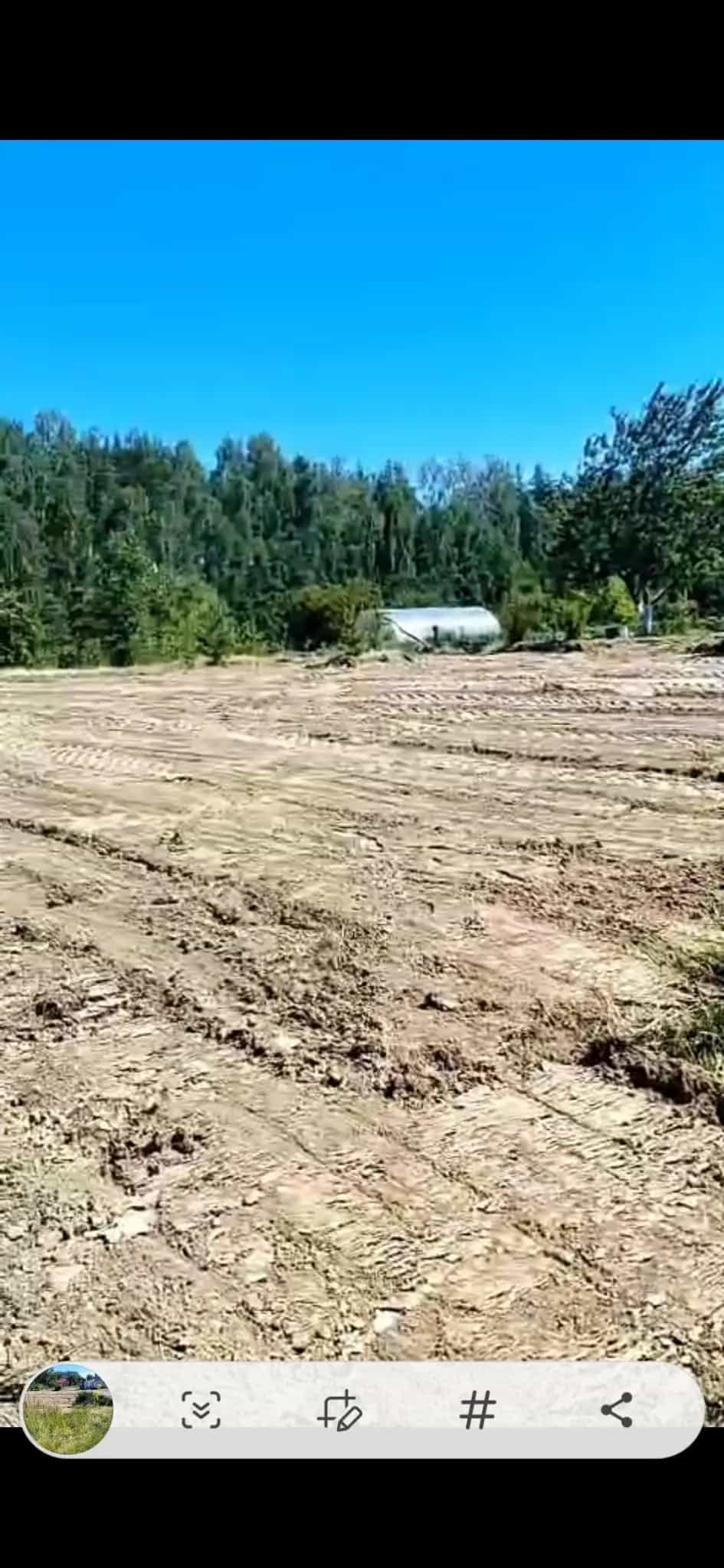 Беларусь, Гродненская область, Волковысский район, Красносельский сельсовет, СТ Сосенки, 590, фото 9
