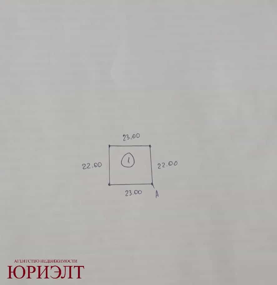 Беларусь, Гомельская область, Ветковский район, Радужский сельсовет, садоводческое товарищество Споницкое, 51, фото 13
