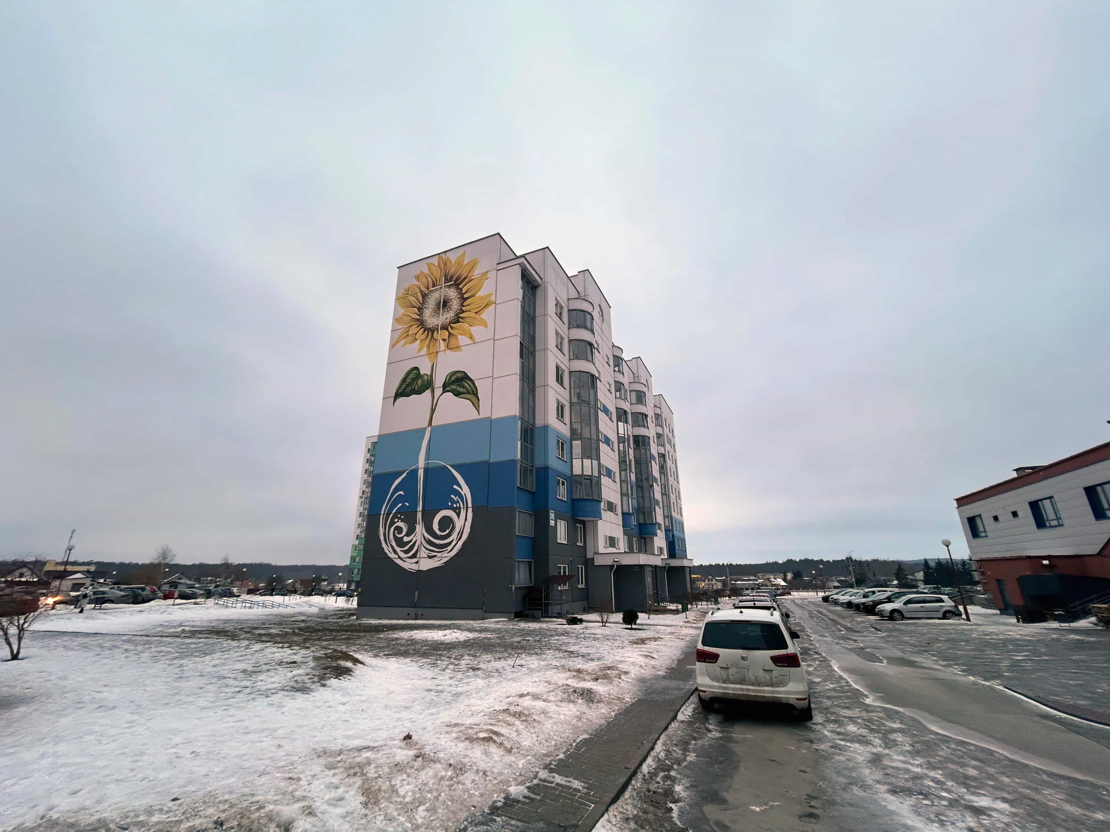 Беларусь, Гродно, улица Суворова, 316, фото 19