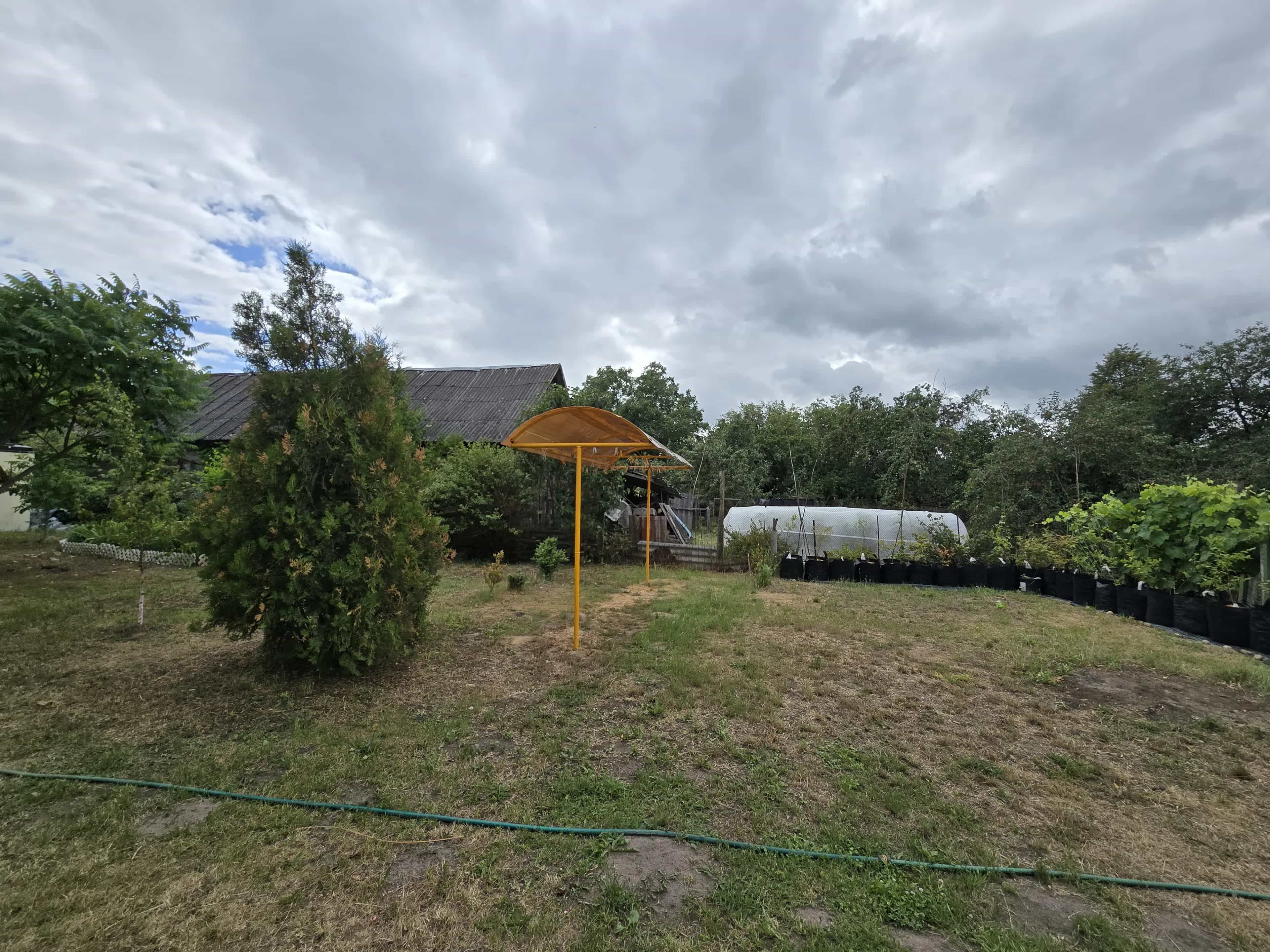 Беларусь, Брестский район, агрогородок Чернавчицы, улица Сикорского, 25, фото 17