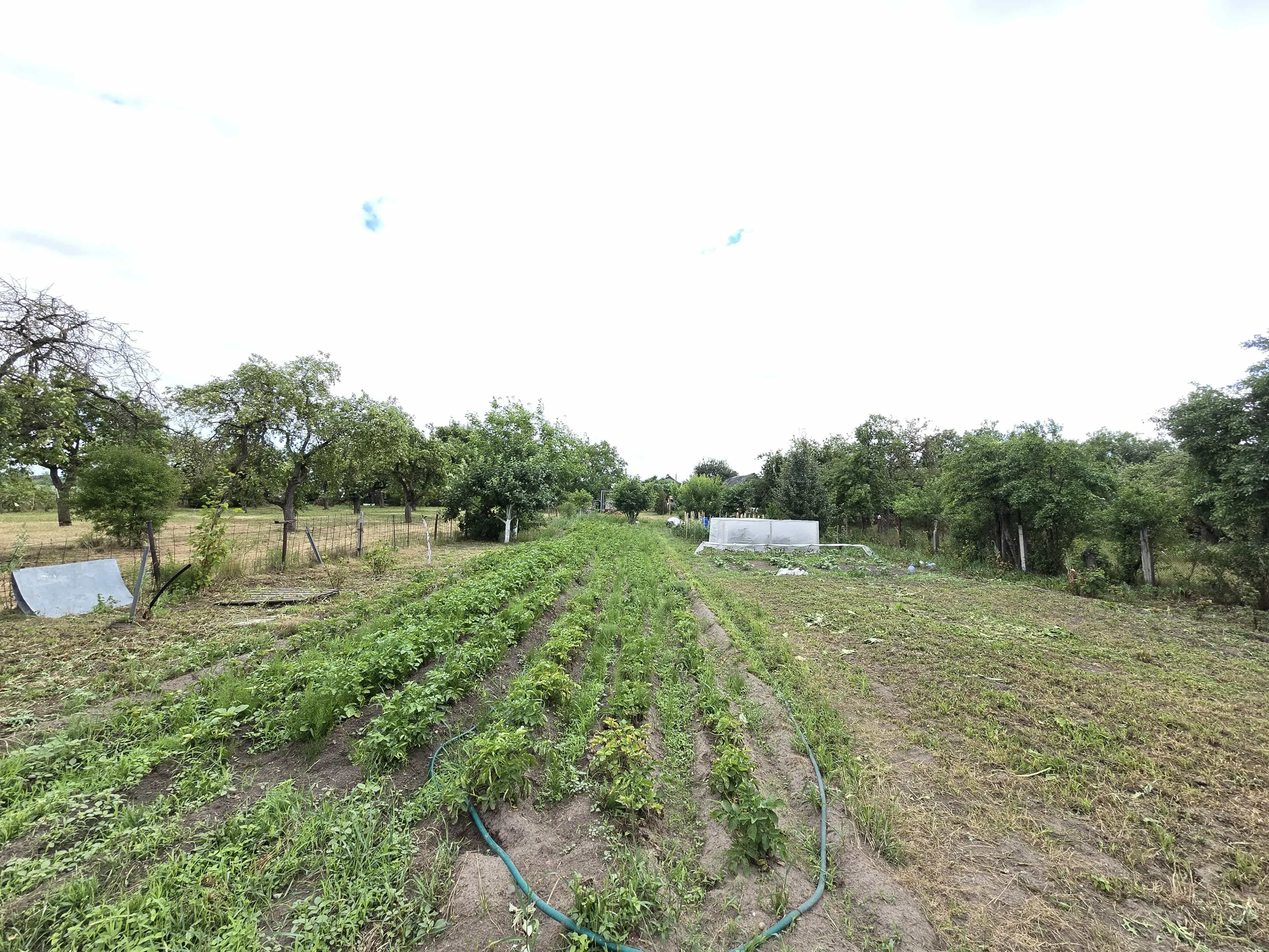Беларусь, Брестский район, агрогородок Чернавчицы, улица Сикорского, 25, фото 19
