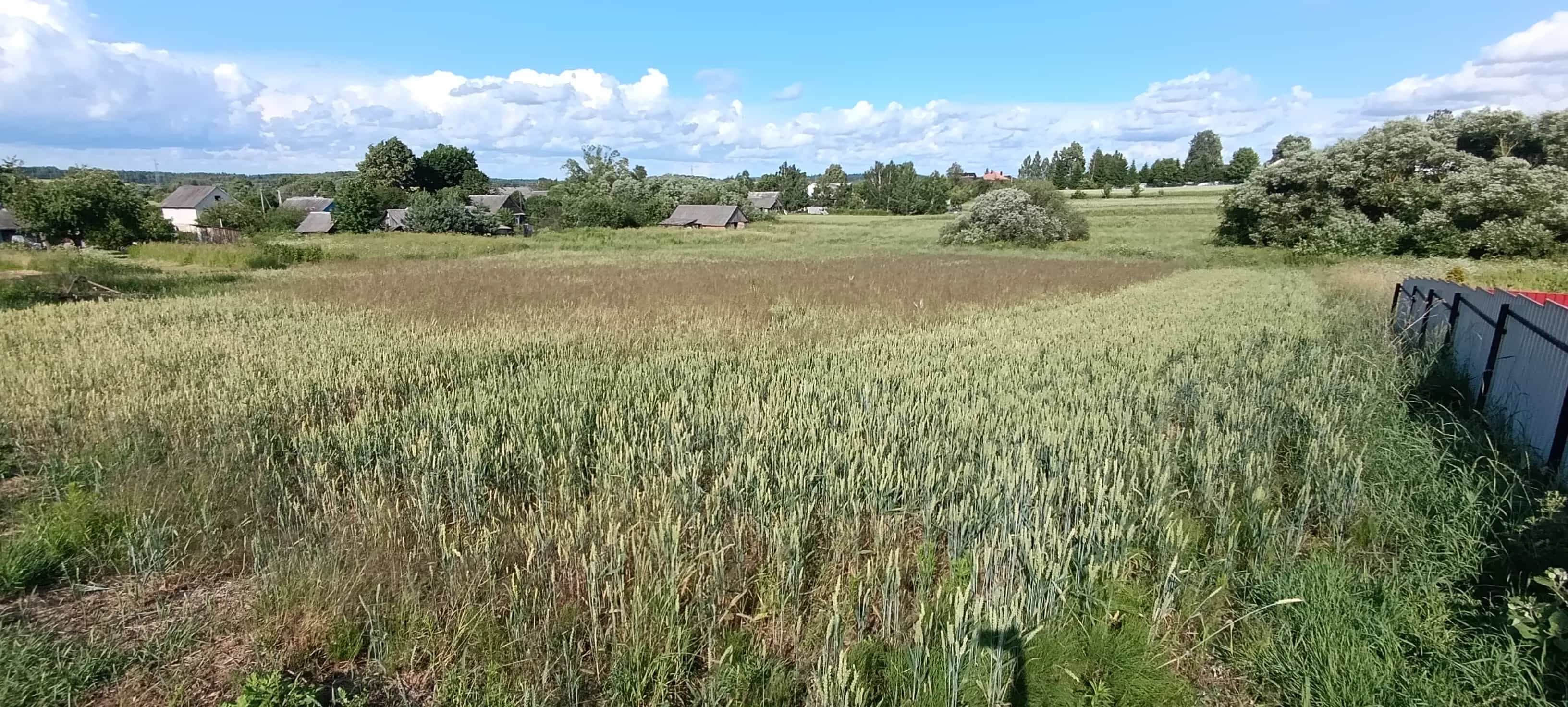 Беларусь, Минский район, Папернянский сельсовет, деревня Аронова Слобода, Новая улица, 6А, фото 6