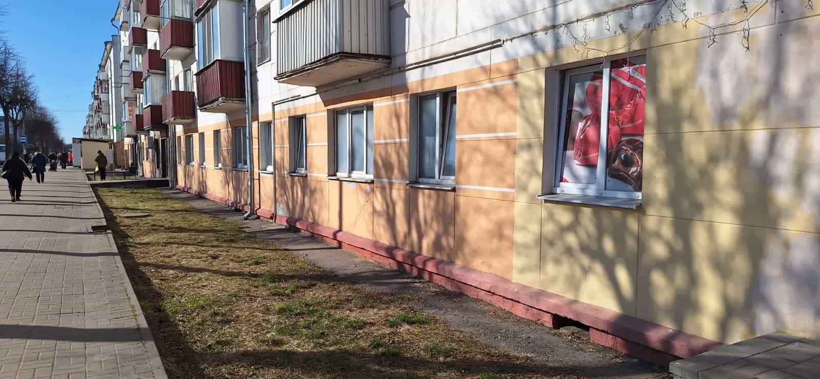 Беларусь, Витебская область, Орша, улица Мира, 29, фото 3