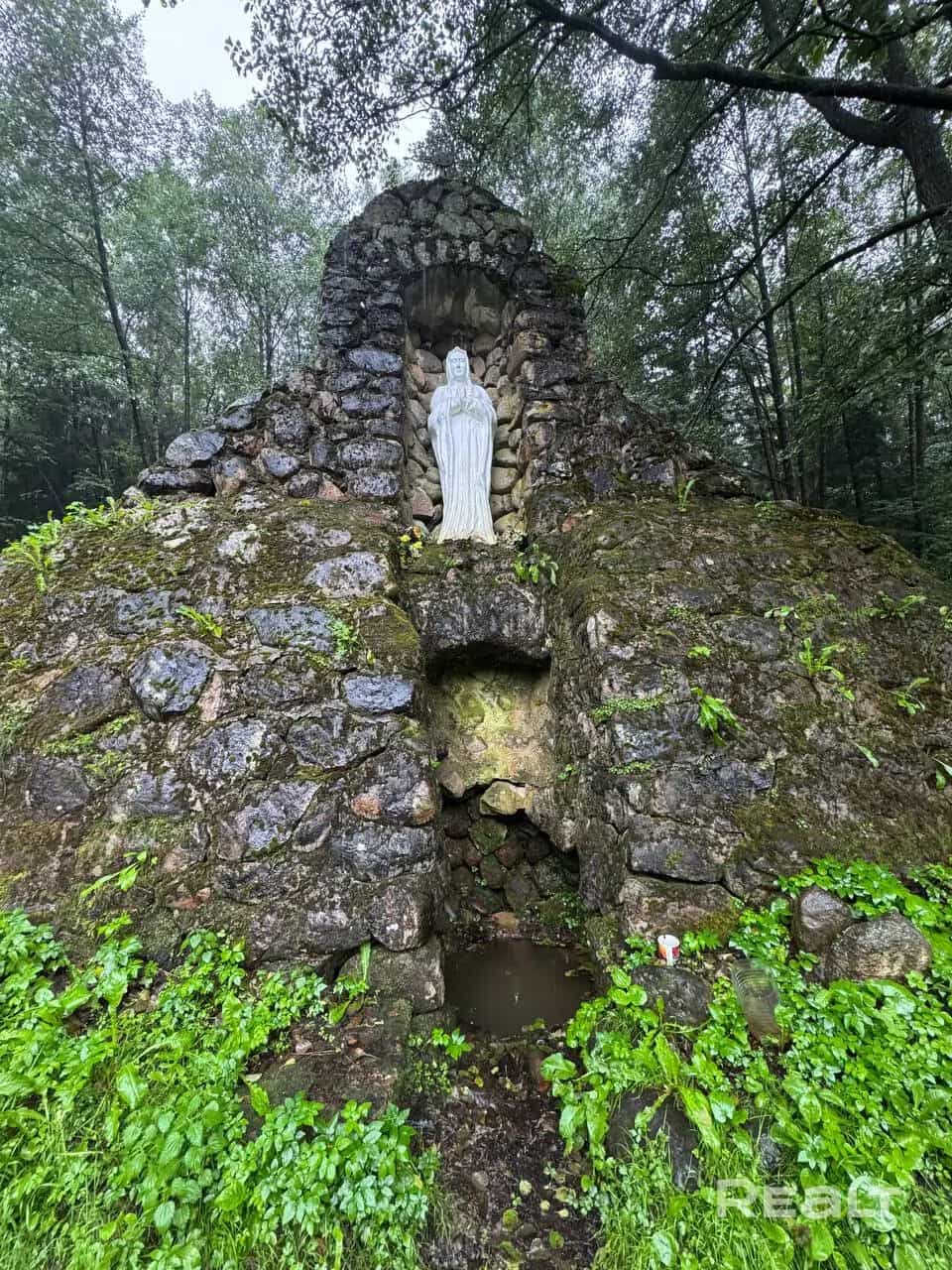 Беларусь, Гродненская область, Островецкий район, Гервятский сельсовет, деревня Дубок, 10, фото 26