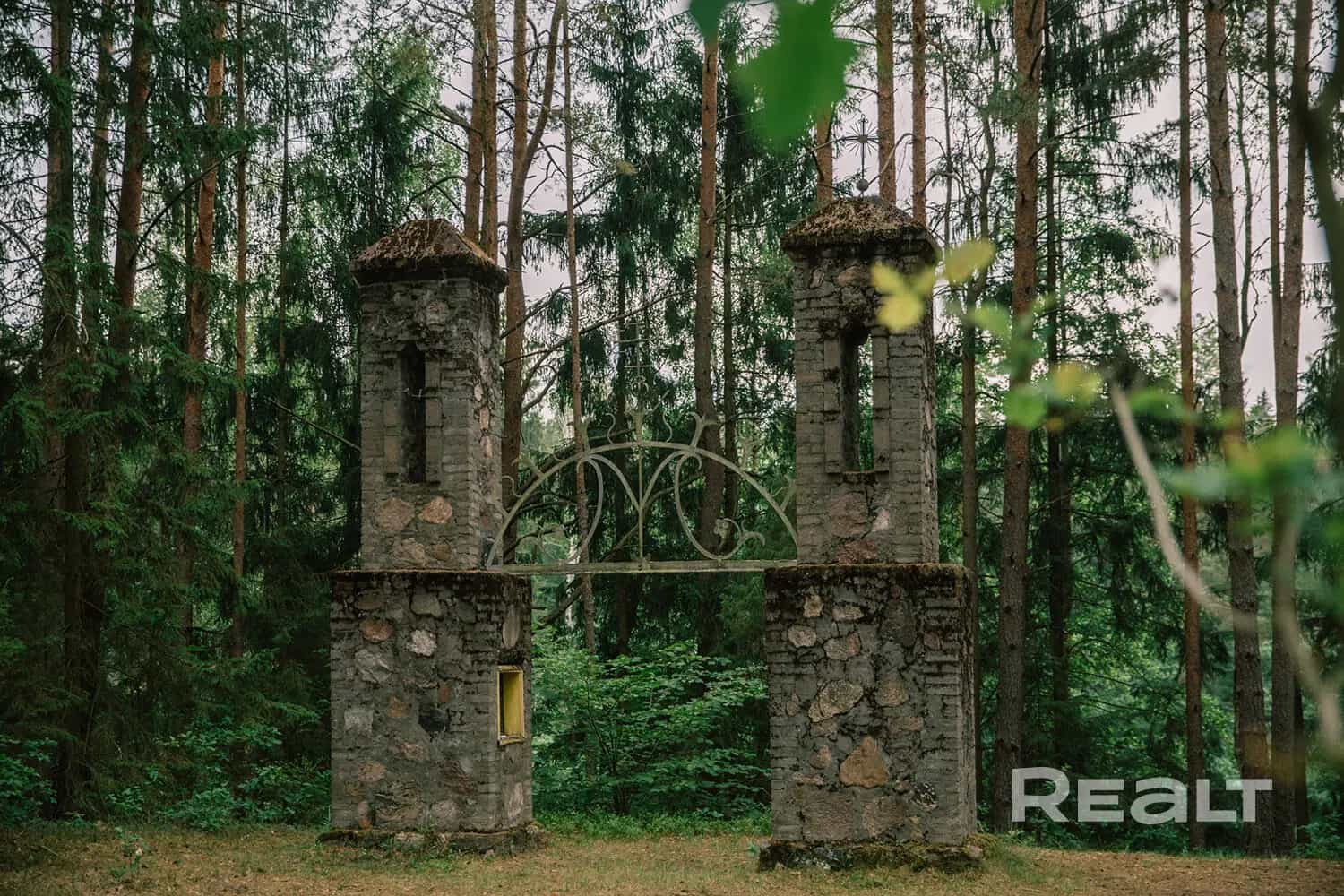 Беларусь, Гродненская область, Островецкий район, Гервятский сельсовет, деревня Дубок, 10, фото 27