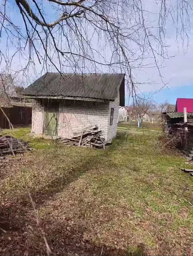 Беларусь, Минская область, Дзержинский район, Боровской сельсовет, садоводческое товарищество Тополь, 97, фото 9