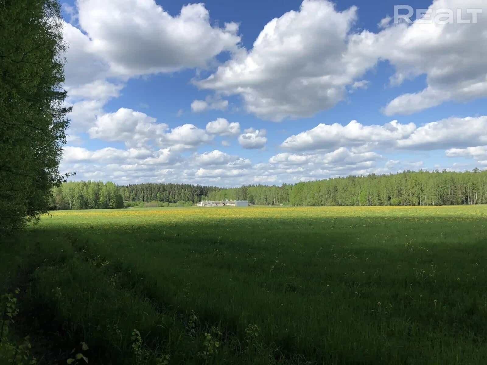 Беларусь, Минская область, Логойский район, Швабский сельсовет, деревня Молоди, Горная улица, 3, фото 2