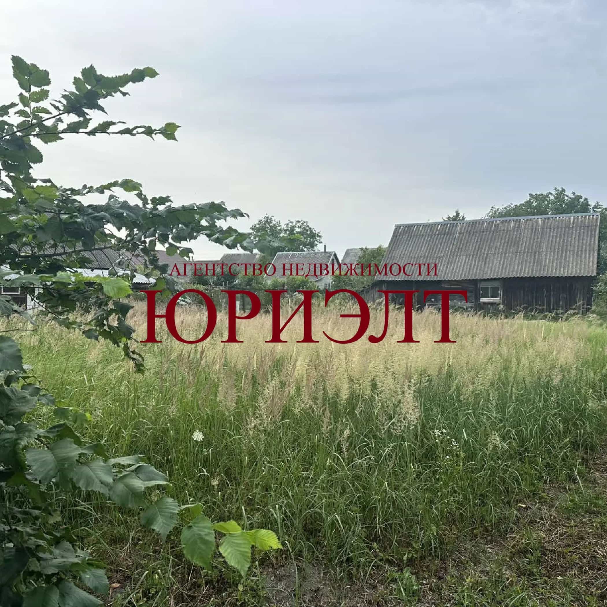 Беларусь, Брестская область, Жабинковский район, Ленинский сельсовет, деревня Филипповичи, Центральная улица, 18