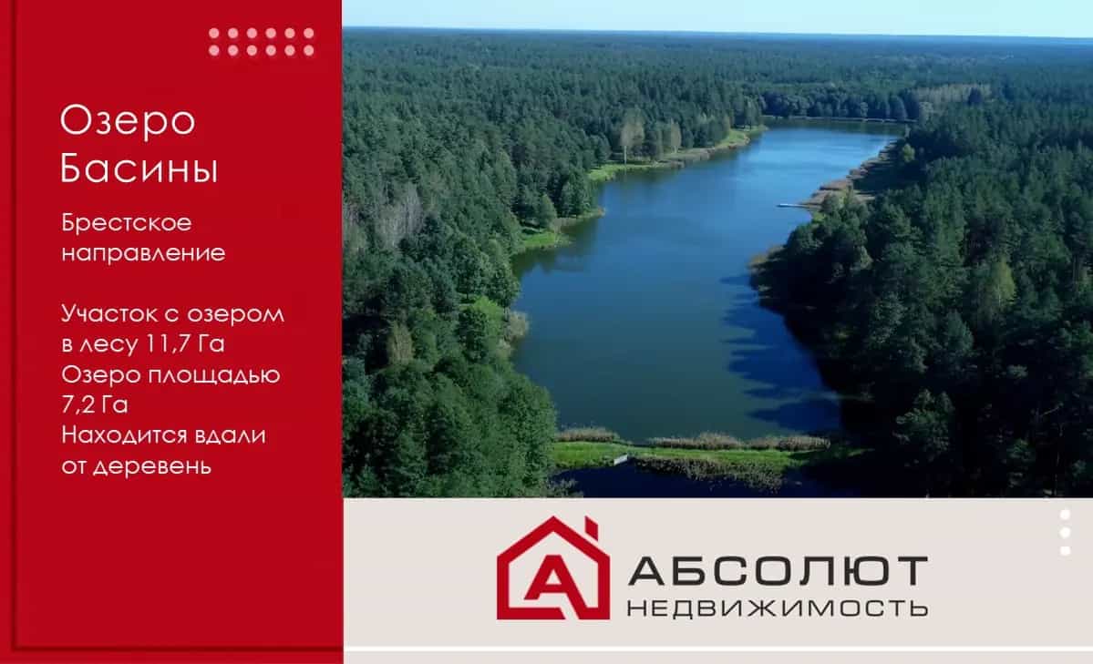 Беларусь, Брестская область, Барановичский район, Подгорновский сельсовет, озеро Басины