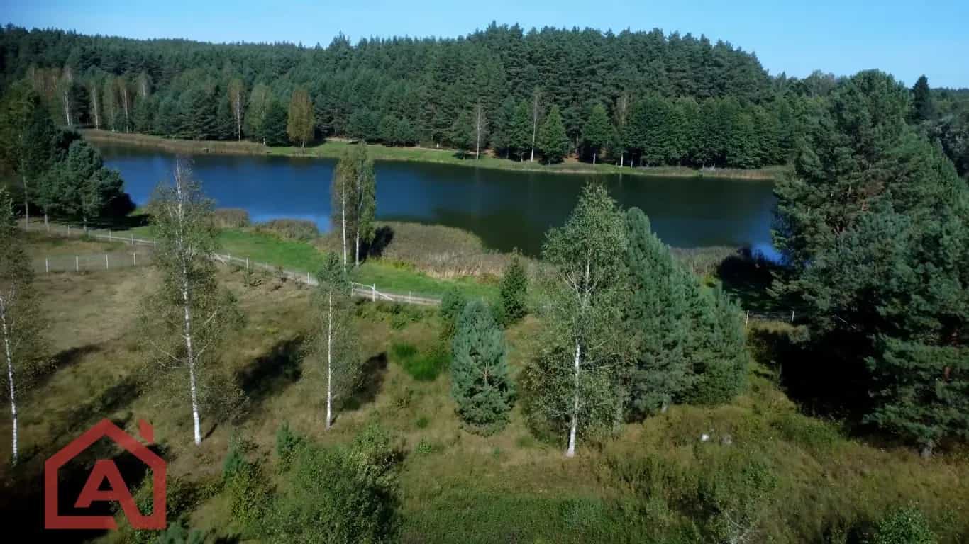 Беларусь, Брестская область, Барановичский район, Подгорновский сельсовет, озеро Басины, фото 9