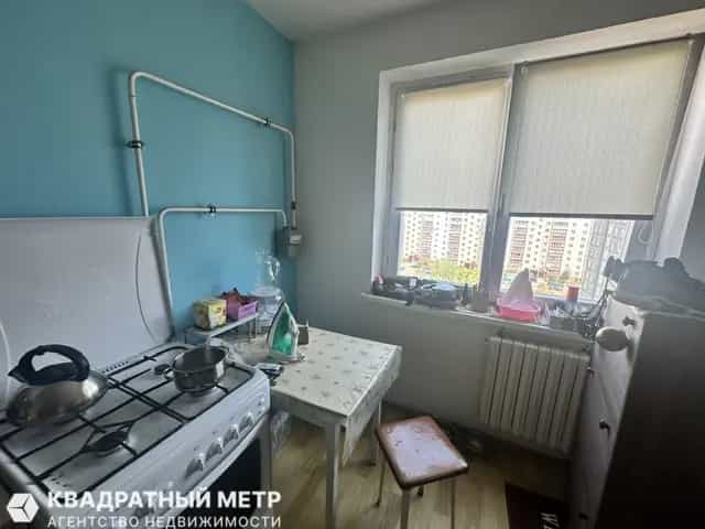 Беларусь, Минский район, деревня Боровляны, Первомайская улица, 50, фото 5