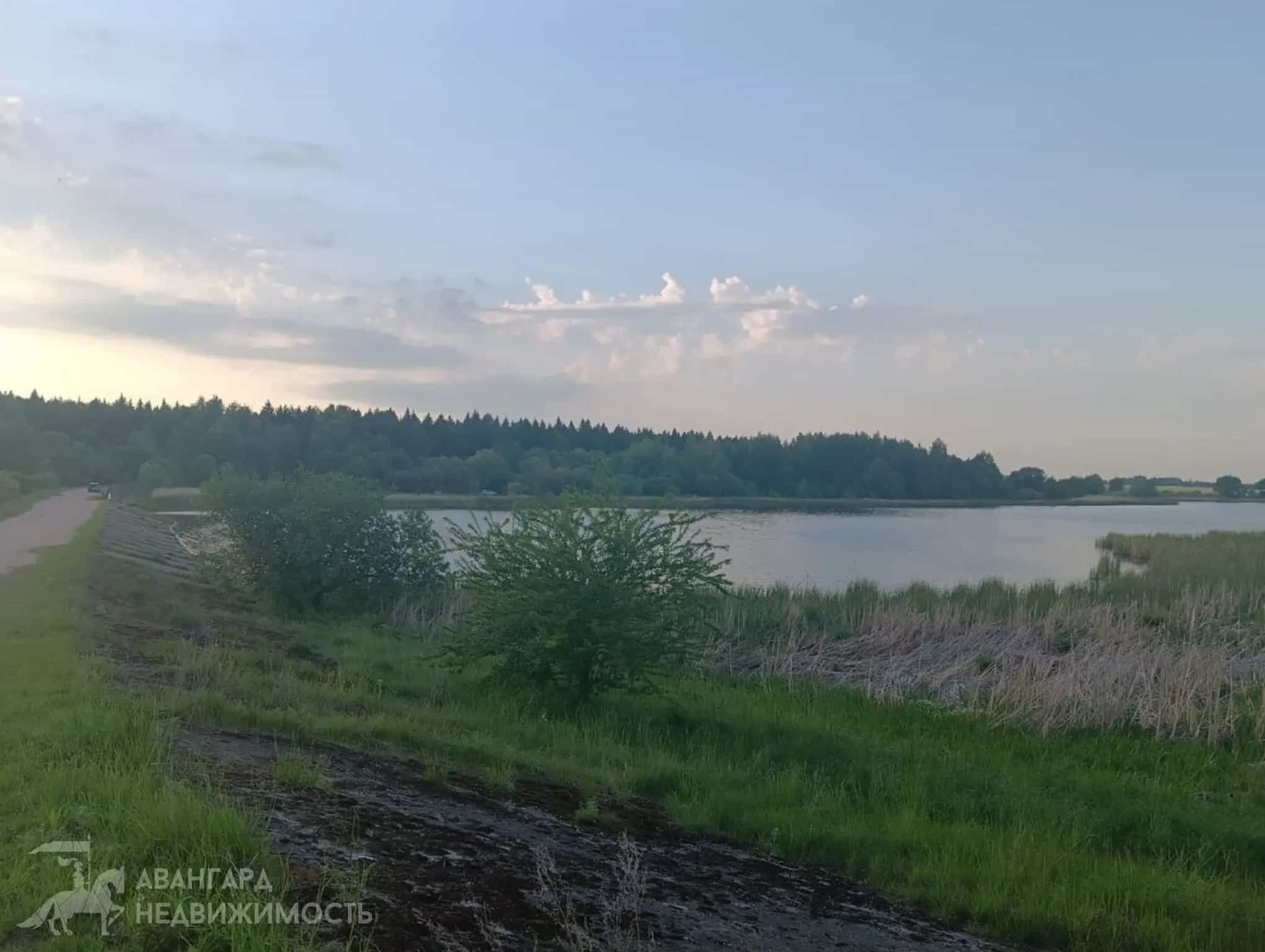 Беларусь, Минская область, Дзержинский район, Добринёвский сельсовет, посёлок Даниловичи, Центральная улица, 19, фото 11