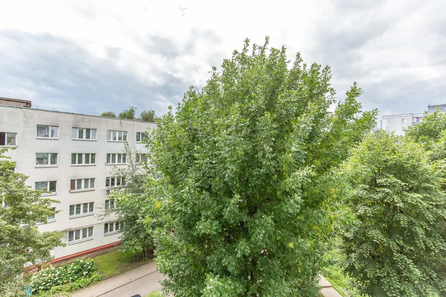 Беларусь, Минск, Краснослободская улица, 3к2, фото 18