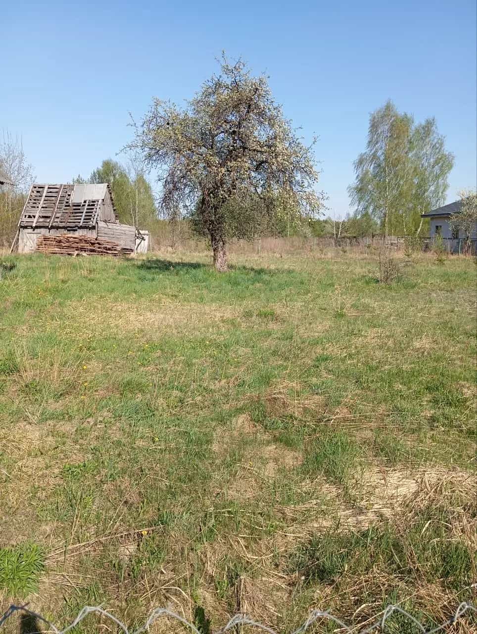 Беларусь, Минская область, Смолевичский район, Заболотский сельсовет, деревня Мостище, Центральная улица, 26, фото 8