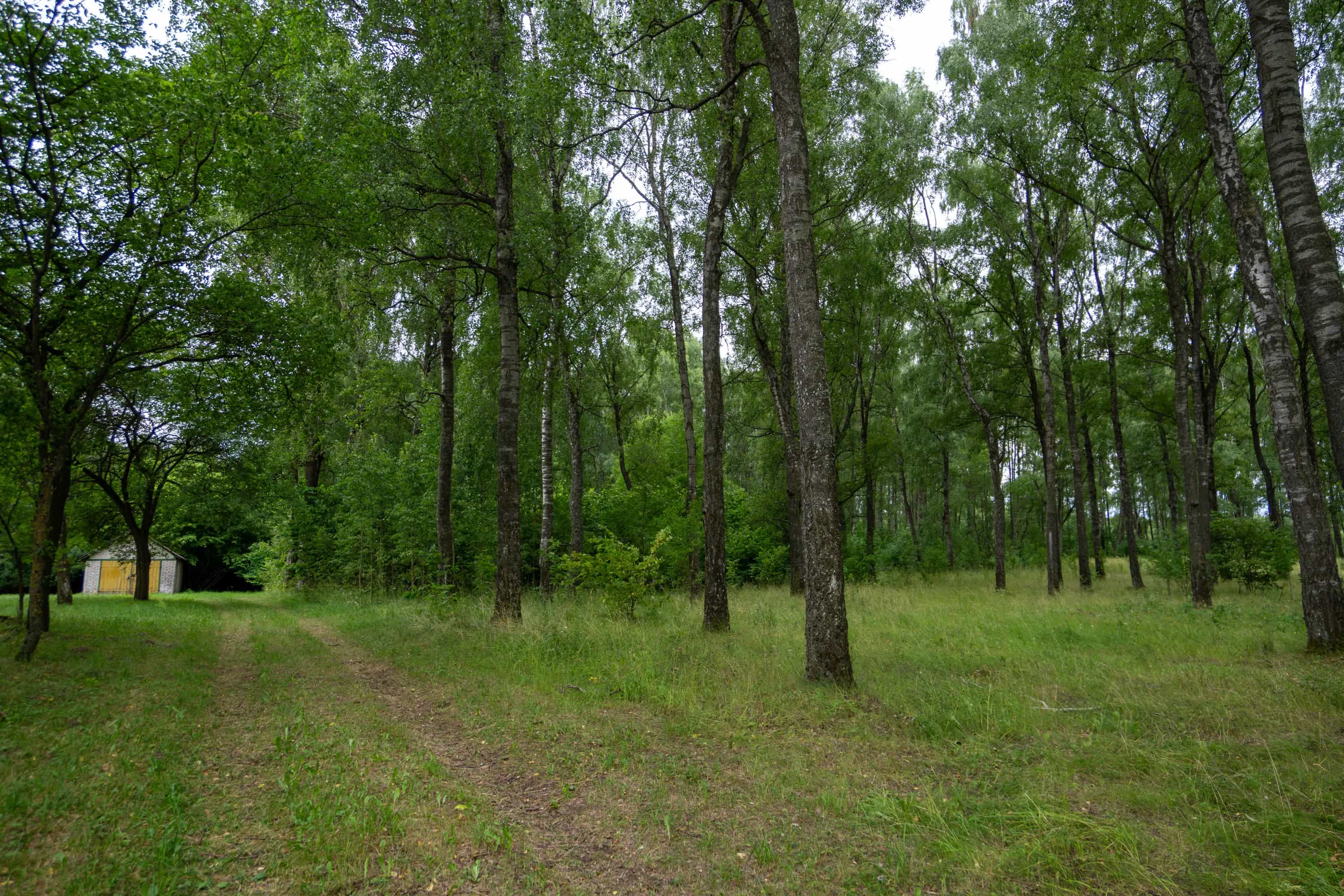 Беларусь, Брестская область, Барановичский район, Городищенский сельсовет, агрогородок Гирмантовцы, Первомайская улица, 1, фото 9