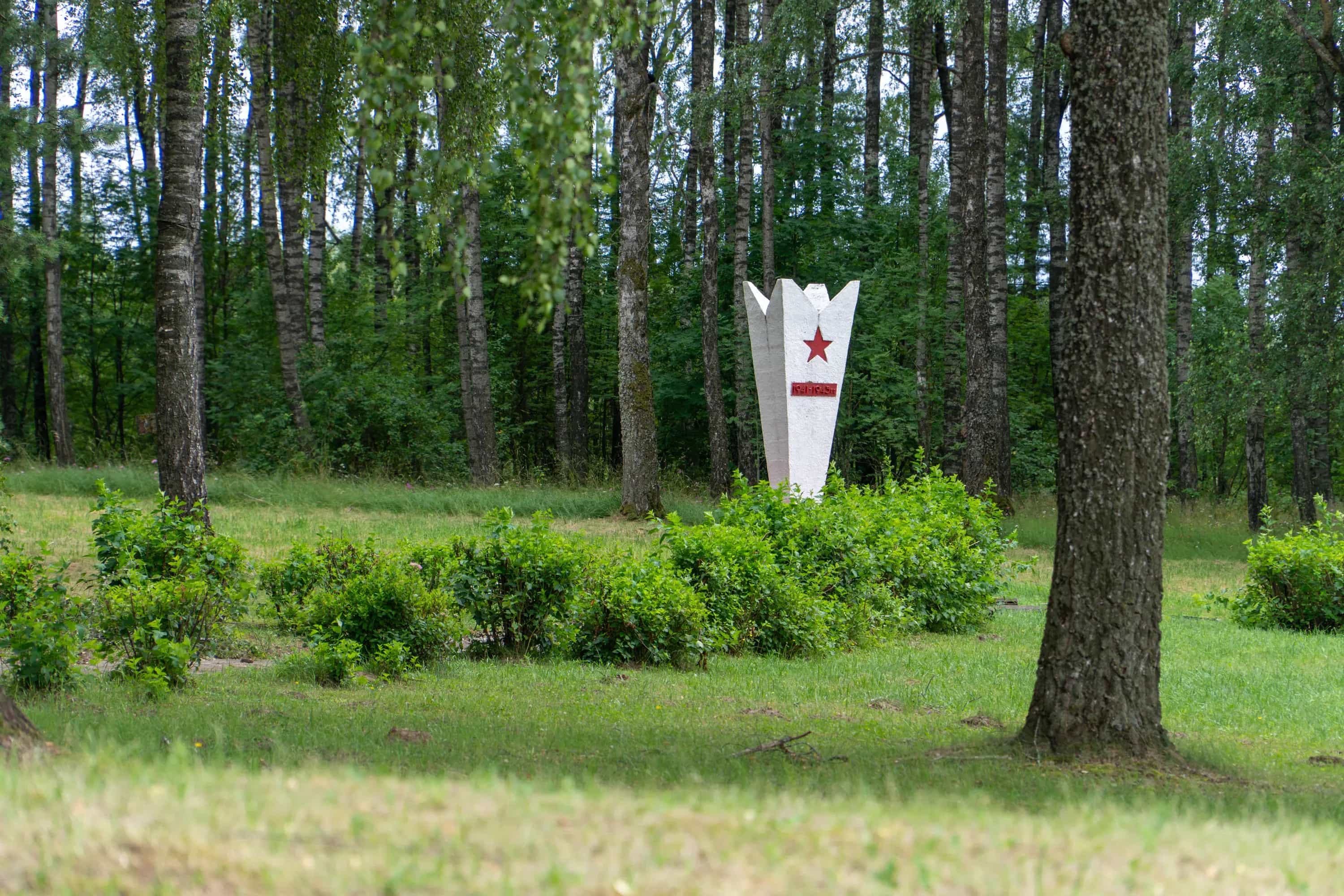 Беларусь, Брестская область, Барановичский район, Городищенский сельсовет, агрогородок Гирмантовцы, Первомайская улица, 1, фото 12