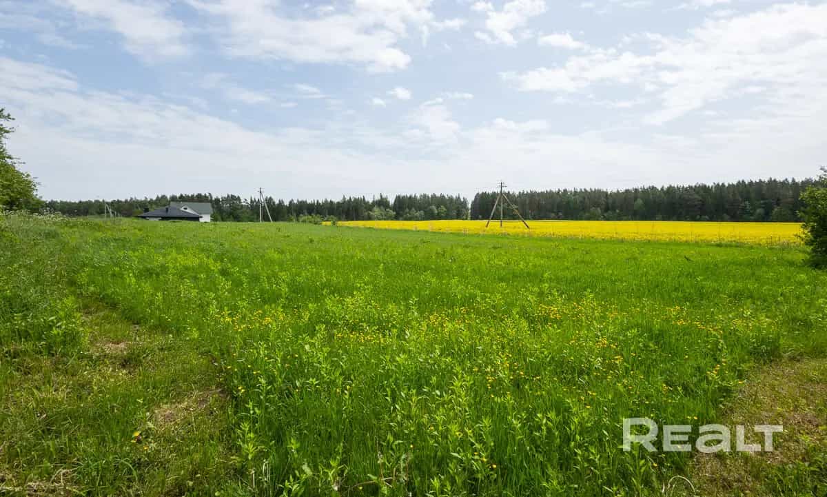 Беларусь, Минский район, Острошицко-Городокский сельсовет, деревня Галица, Белорусская улица, 1Д, фото 2