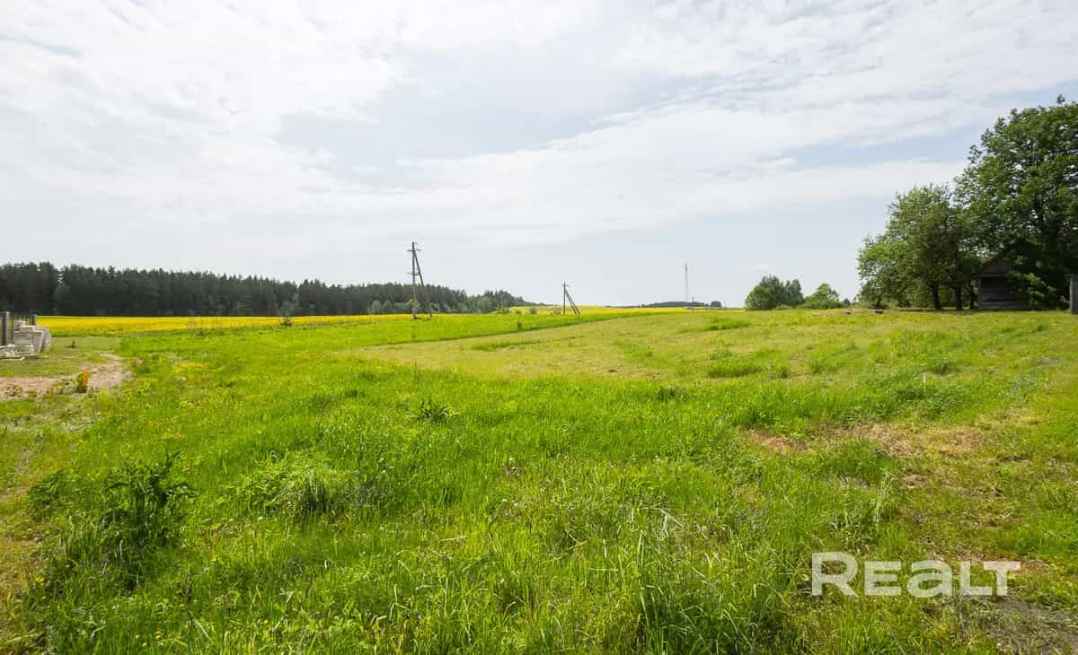 Беларусь, Минский район, Острошицко-Городокский сельсовет, деревня Галица, Белорусская улица, 1Д, фото 5