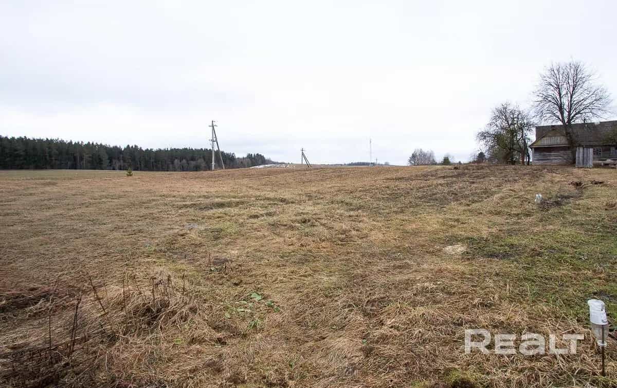 Беларусь, Минский район, Острошицко-Городокский сельсовет, деревня Галица, Белорусская улица, 1Е, фото 3