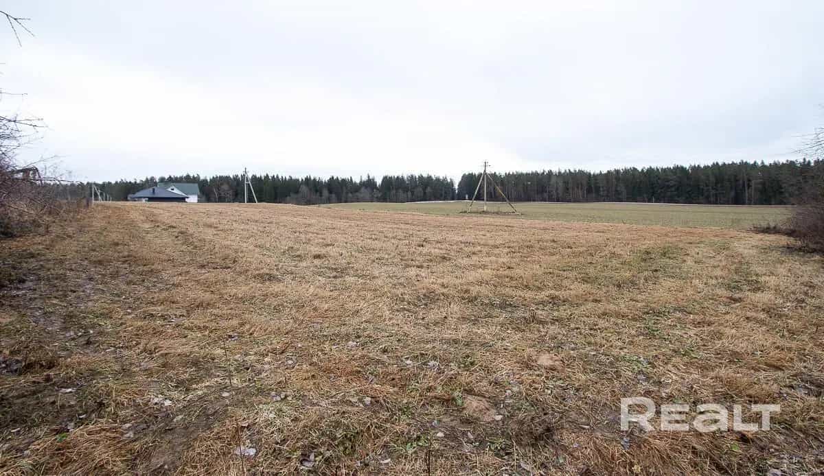 Беларусь, Минский район, Острошицко-Городокский сельсовет, деревня Галица, Белорусская улица, 1Е, фото 6